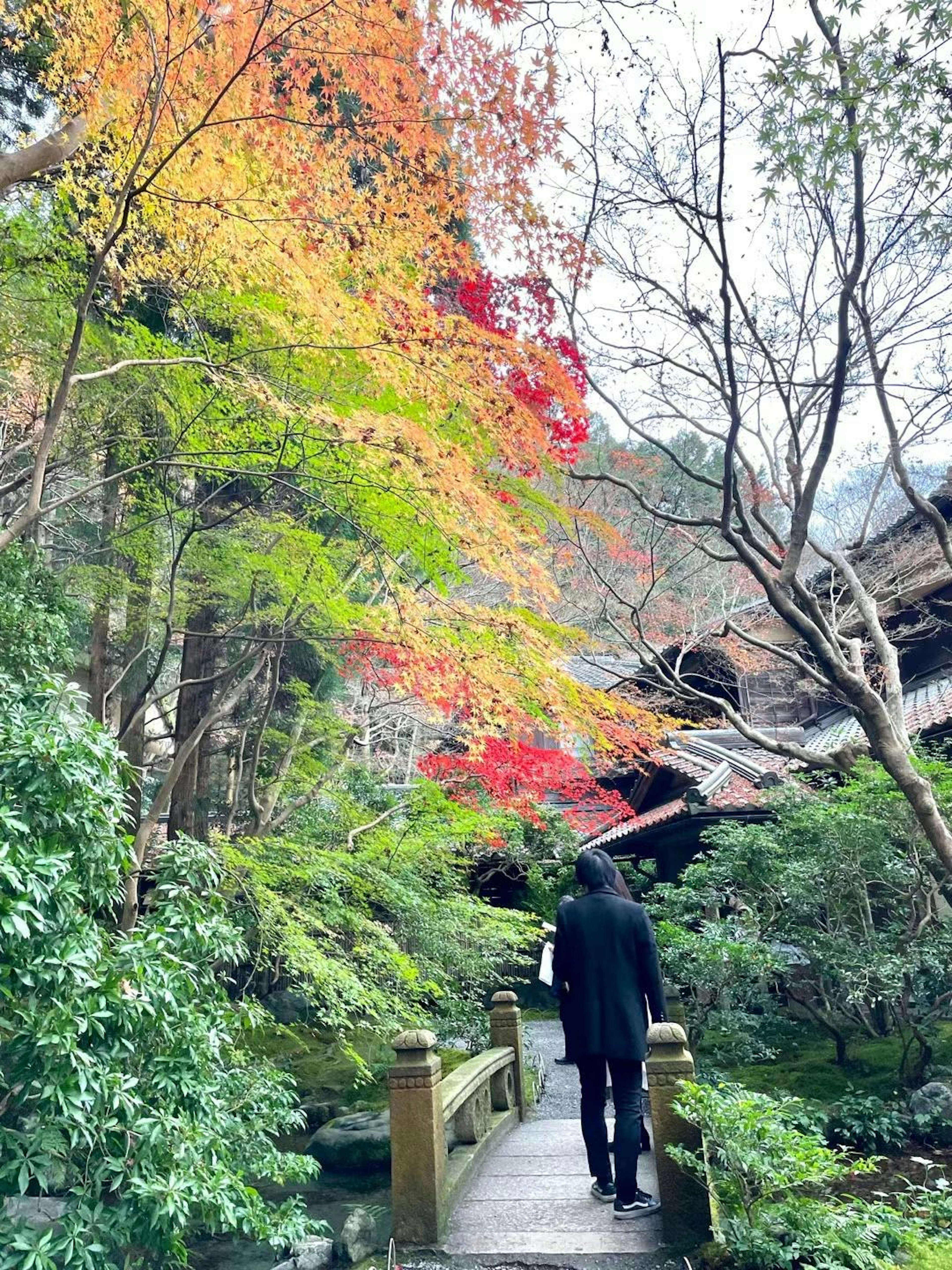 色とりどりの紅葉が映える小道を歩く人物の後ろ姿