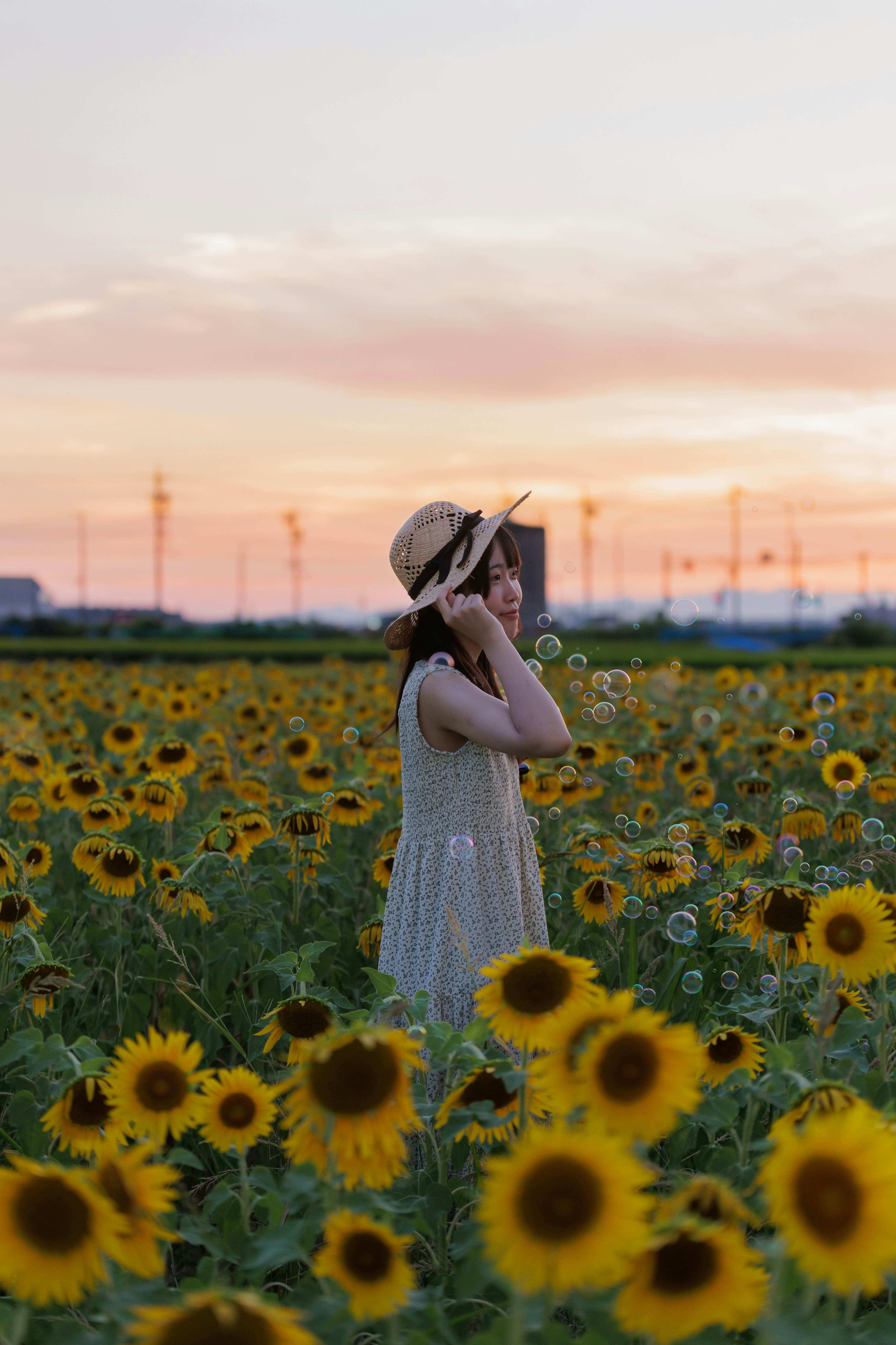 ひまわり畑で夕日を背景に立つ女性の姿