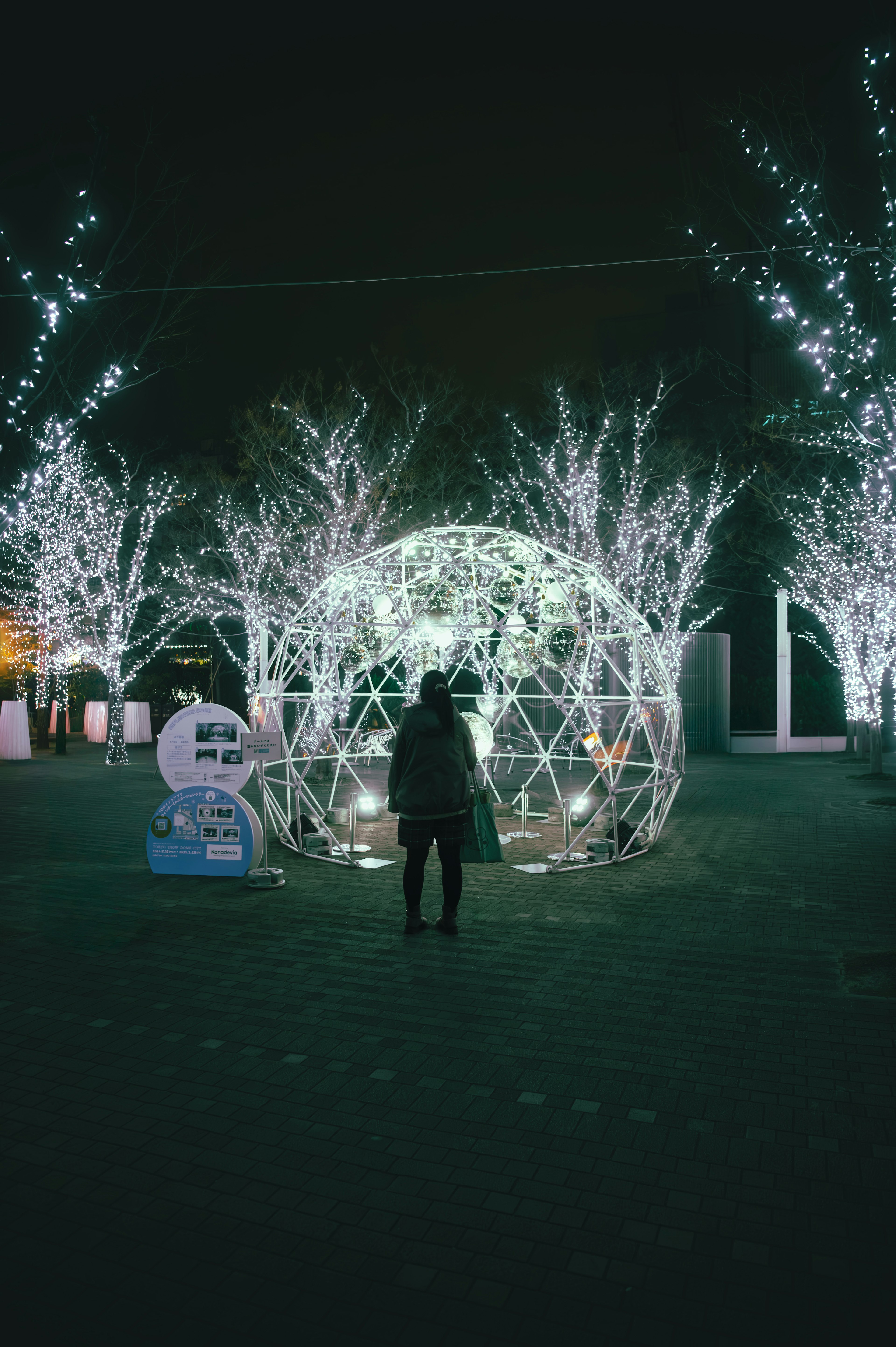 Geodesic dome illuminated at night surrounded by glowing trees