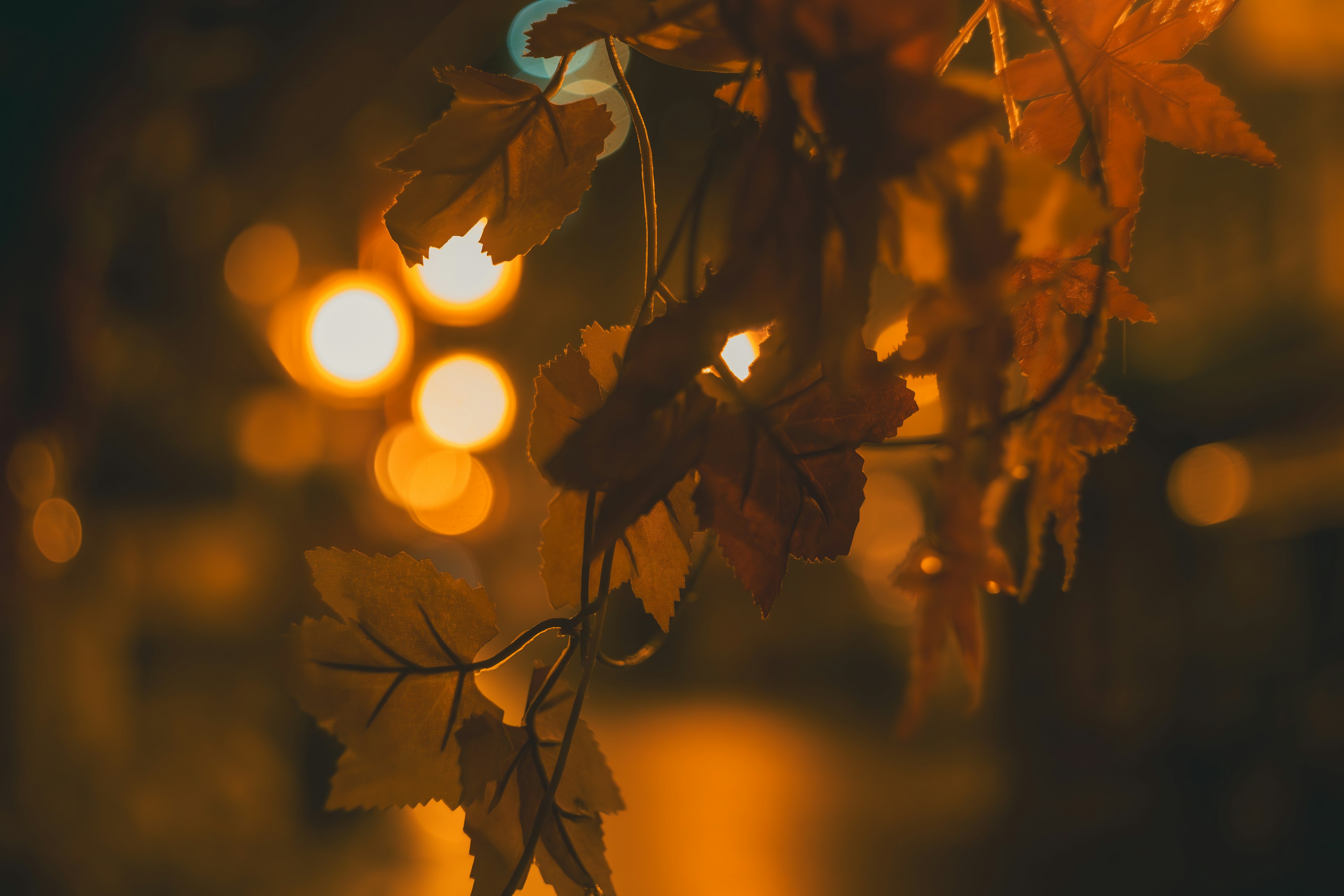 Feuilles orange suspendues dans une scène de rue nocturne