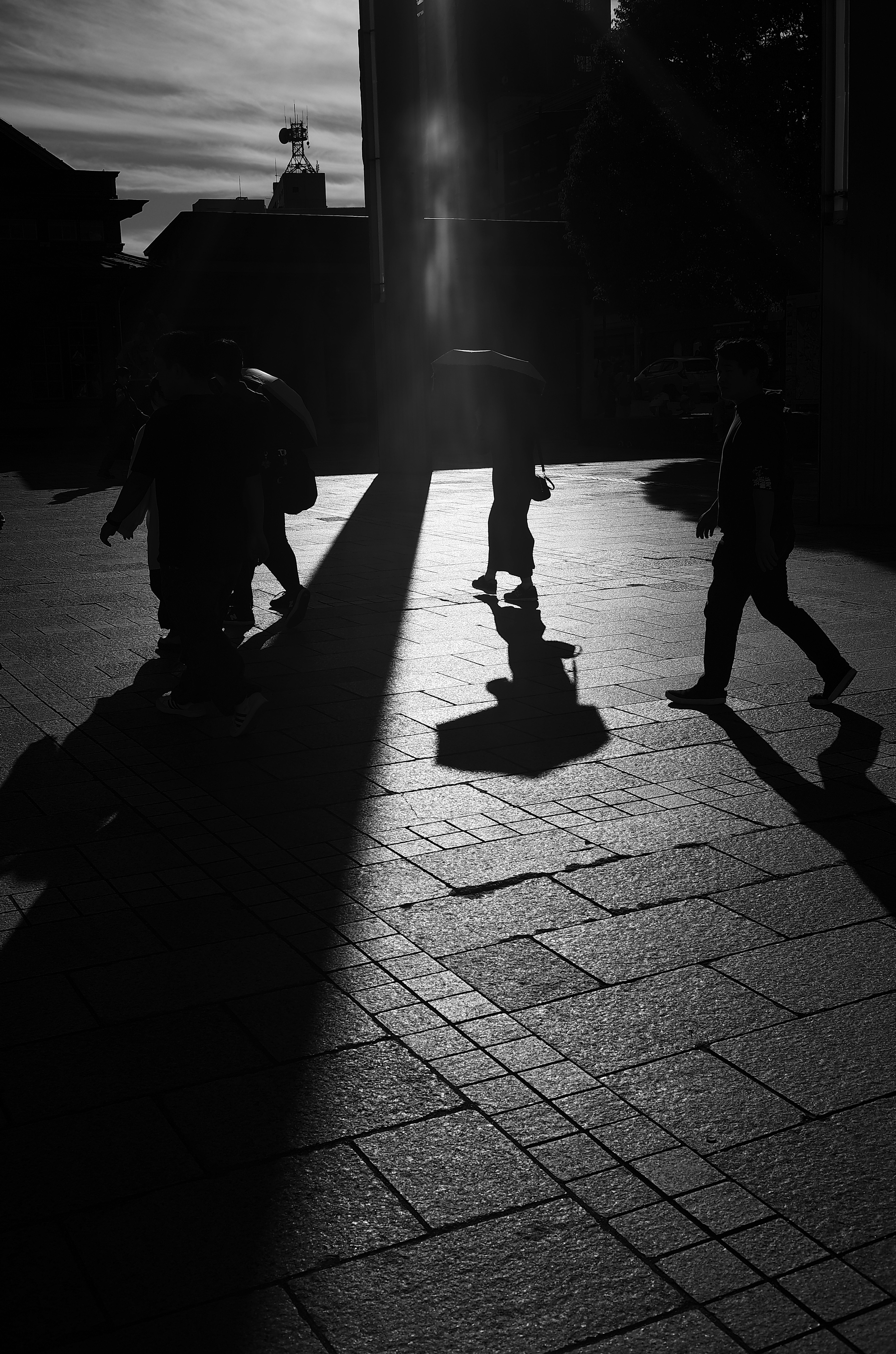 Silhouettes of people walking on a sunlit pavement in black and white