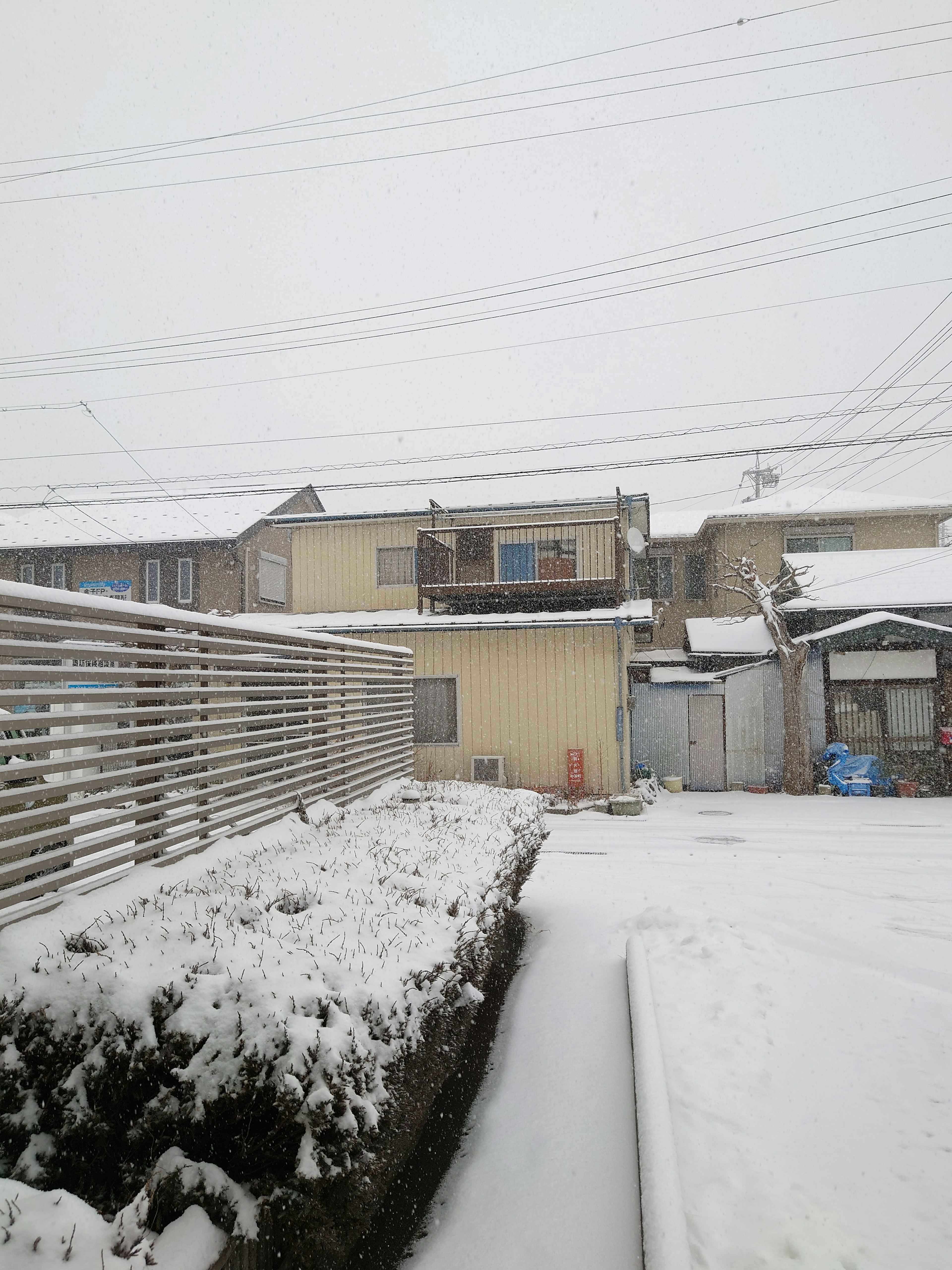 Residential area covered in snow with a garden and buildings