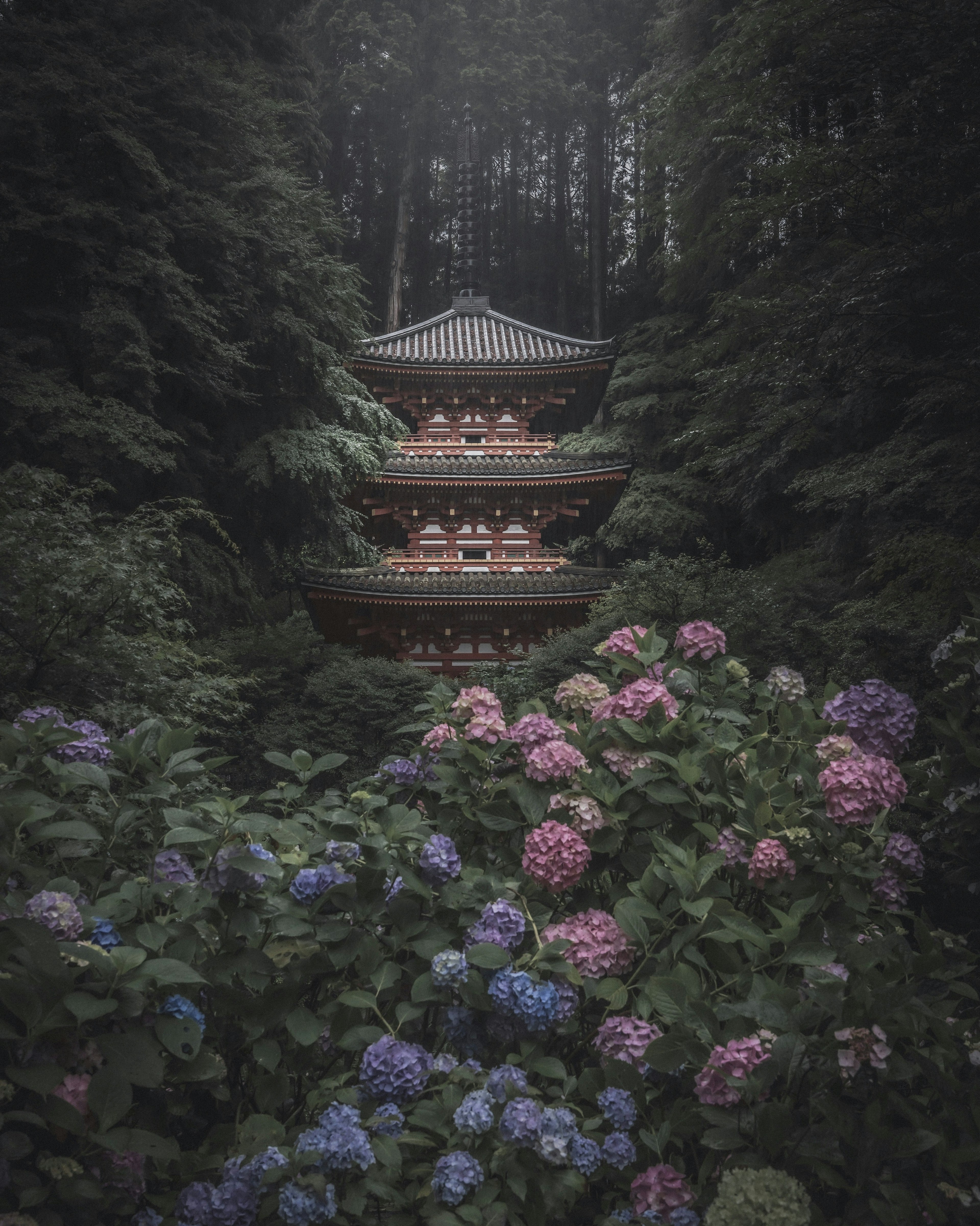 一座美麗的寺廟坐落在森林中，四周環繞著五彩繽紛的繡球花