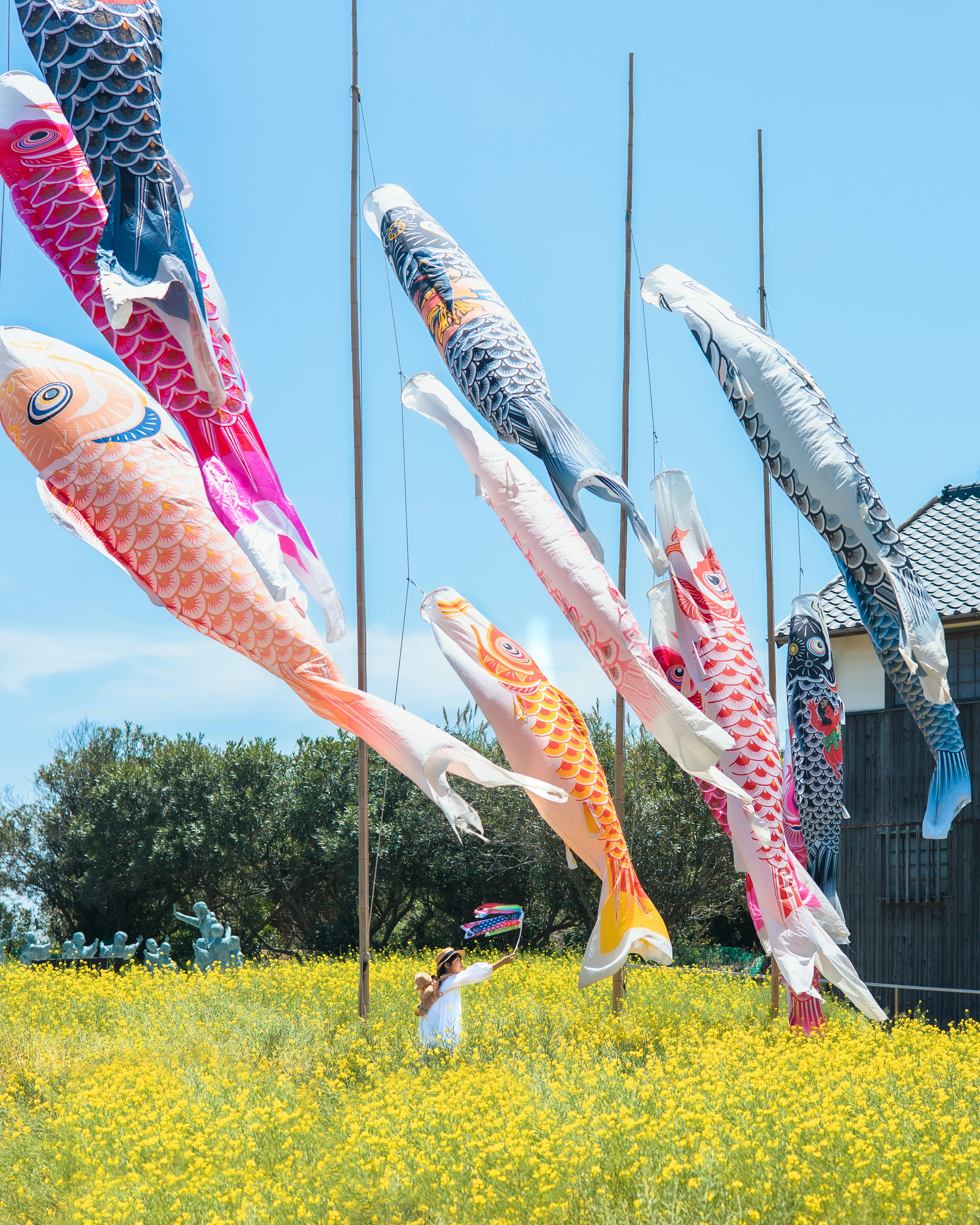 Banderas de carpa ondeando al viento bajo un cielo azul con un campo de flores amarillas