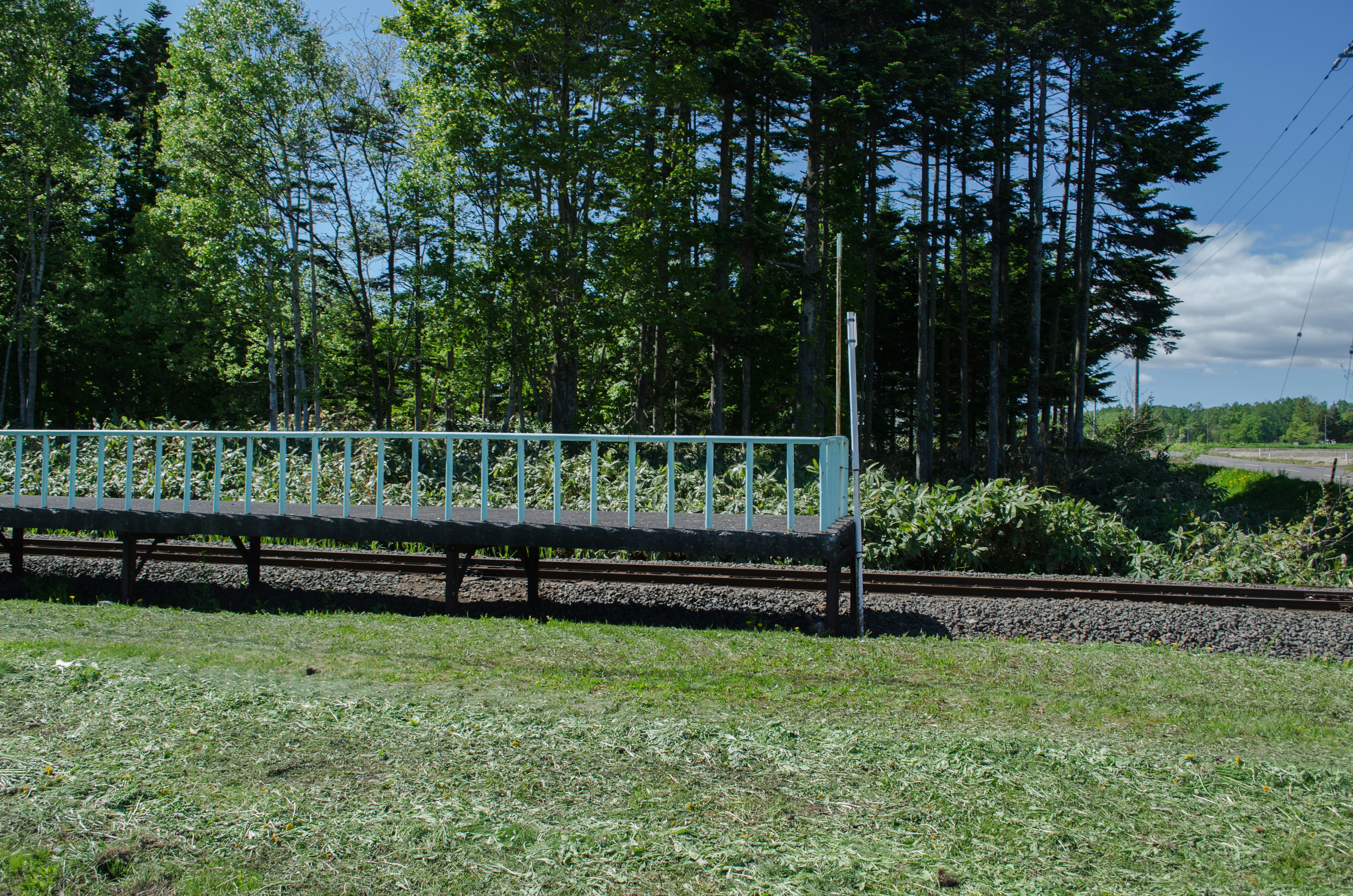 Una panchina blu vicino ai binari del treno circondata da alberi