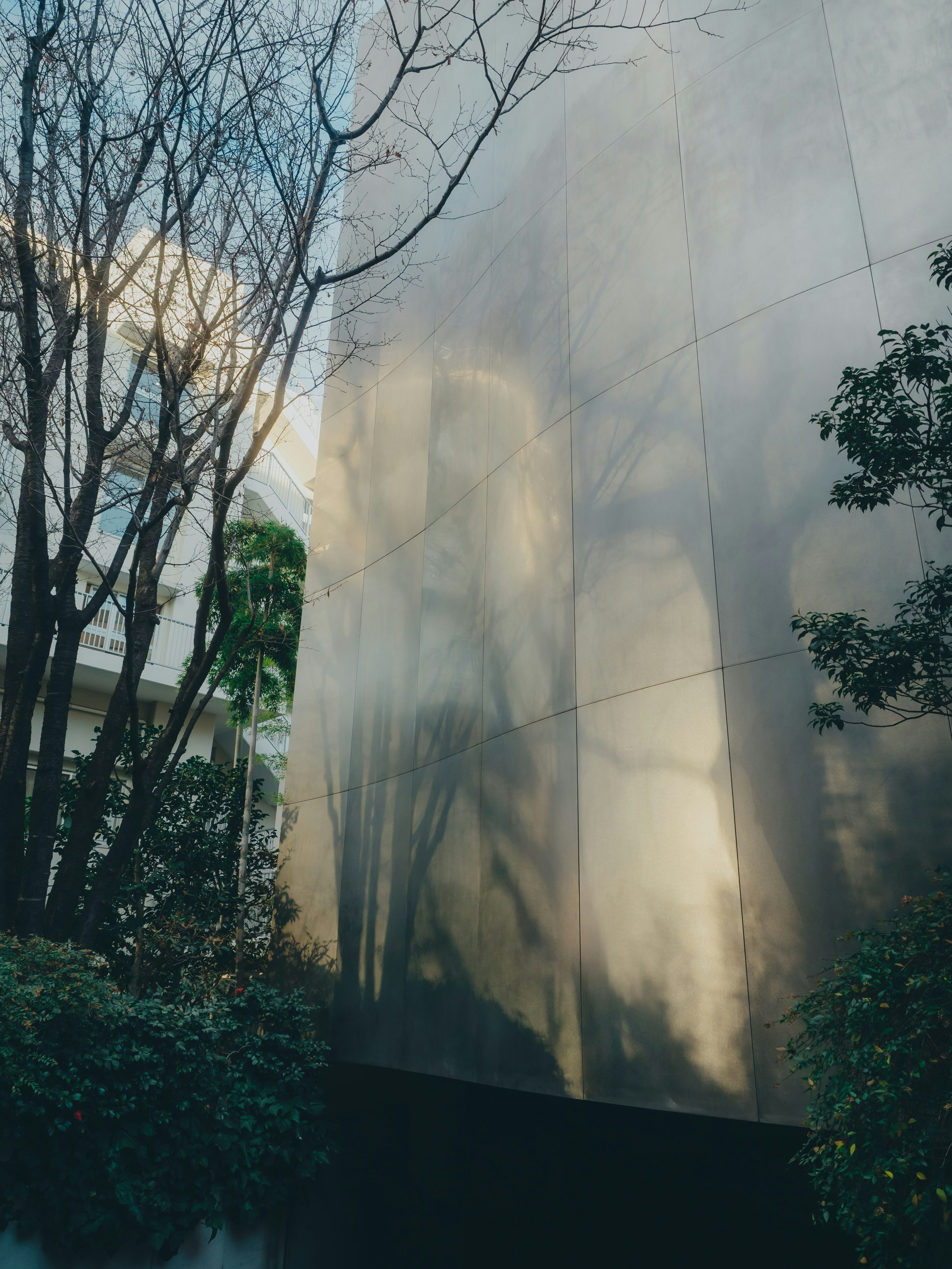 木々の影が映る光沢のある壁と周囲の緑