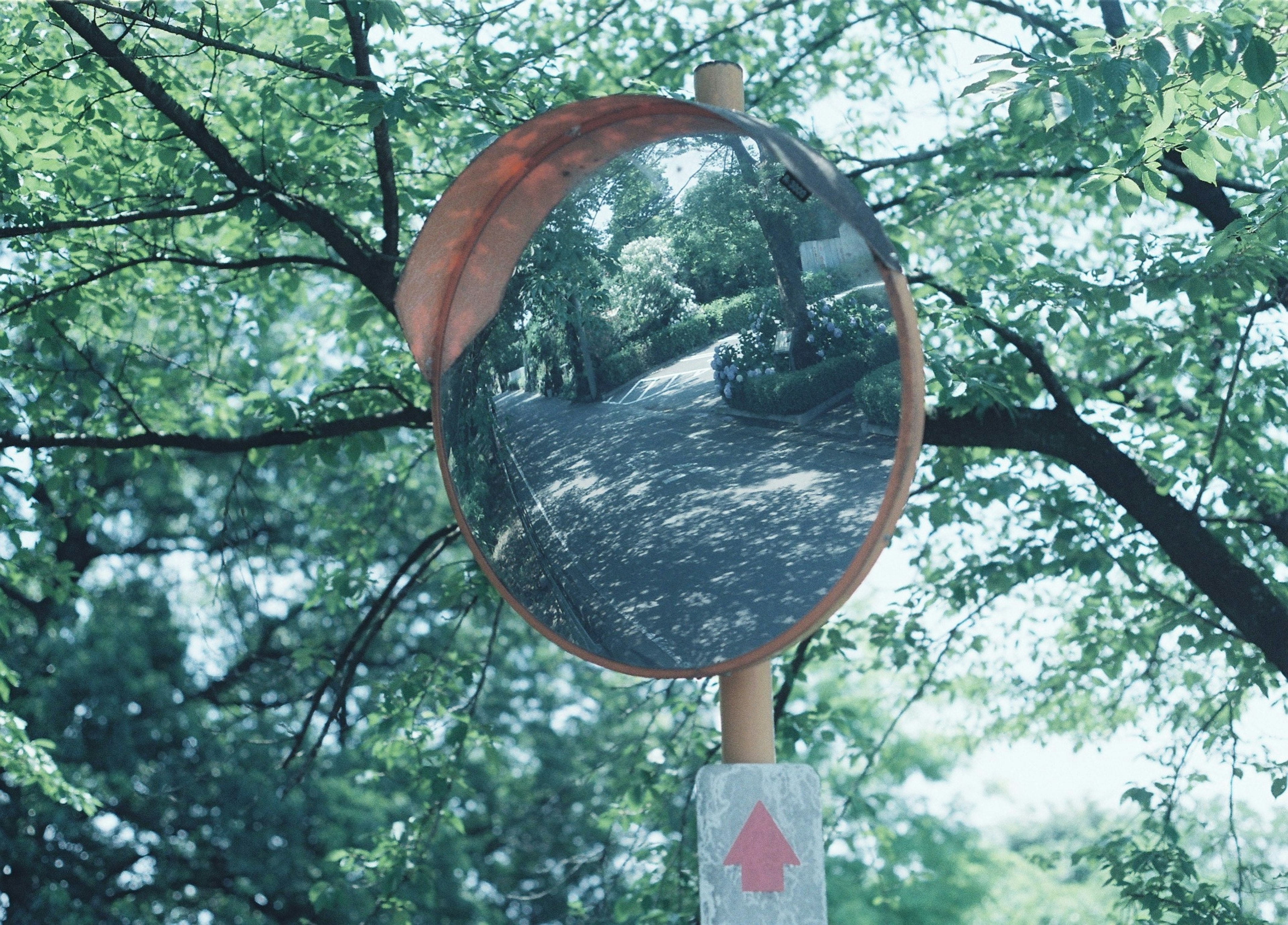 Espejo reflejando una escena de parque rodeada de árboles verdes