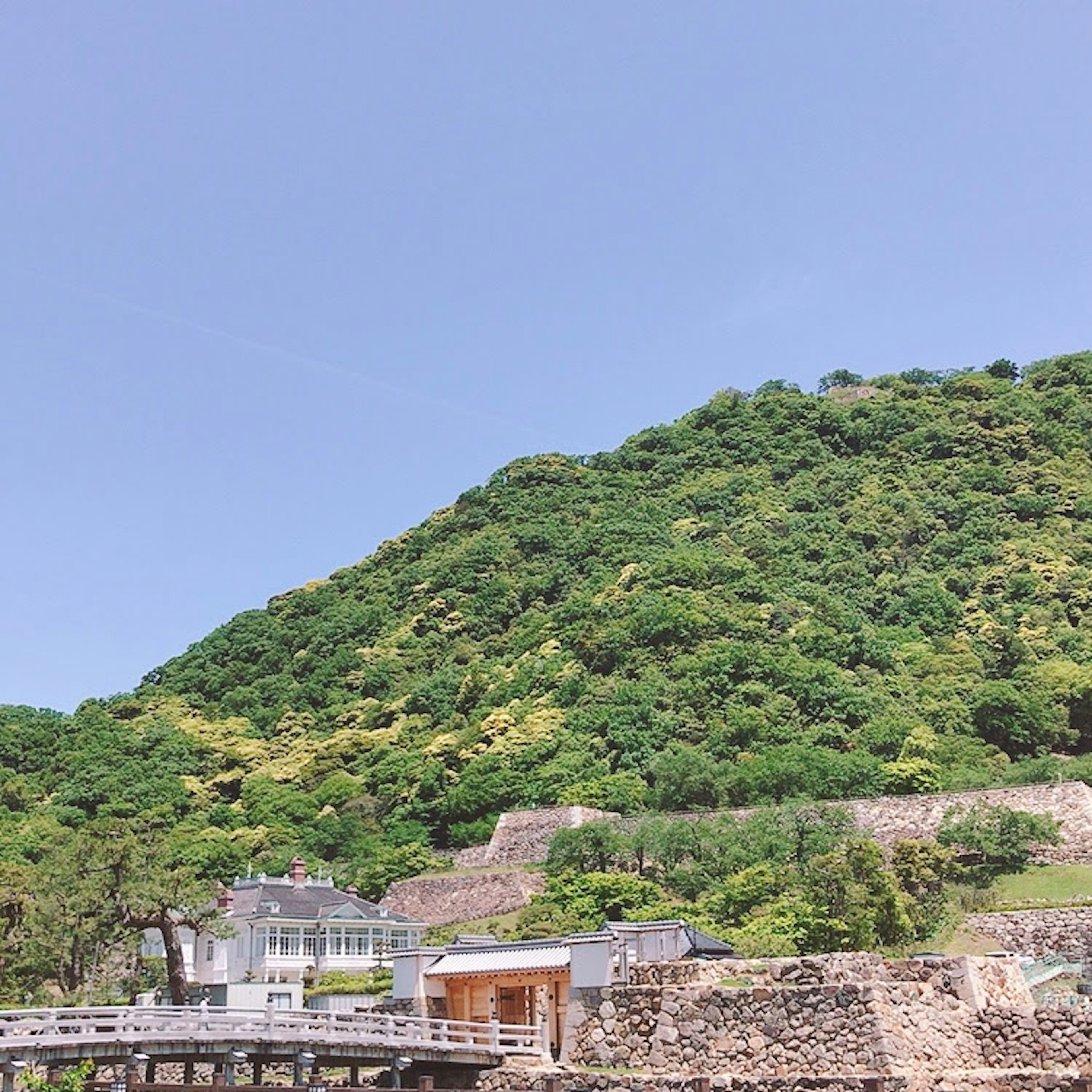 青空の下に緑豊かな山と近代的な建物がある風景