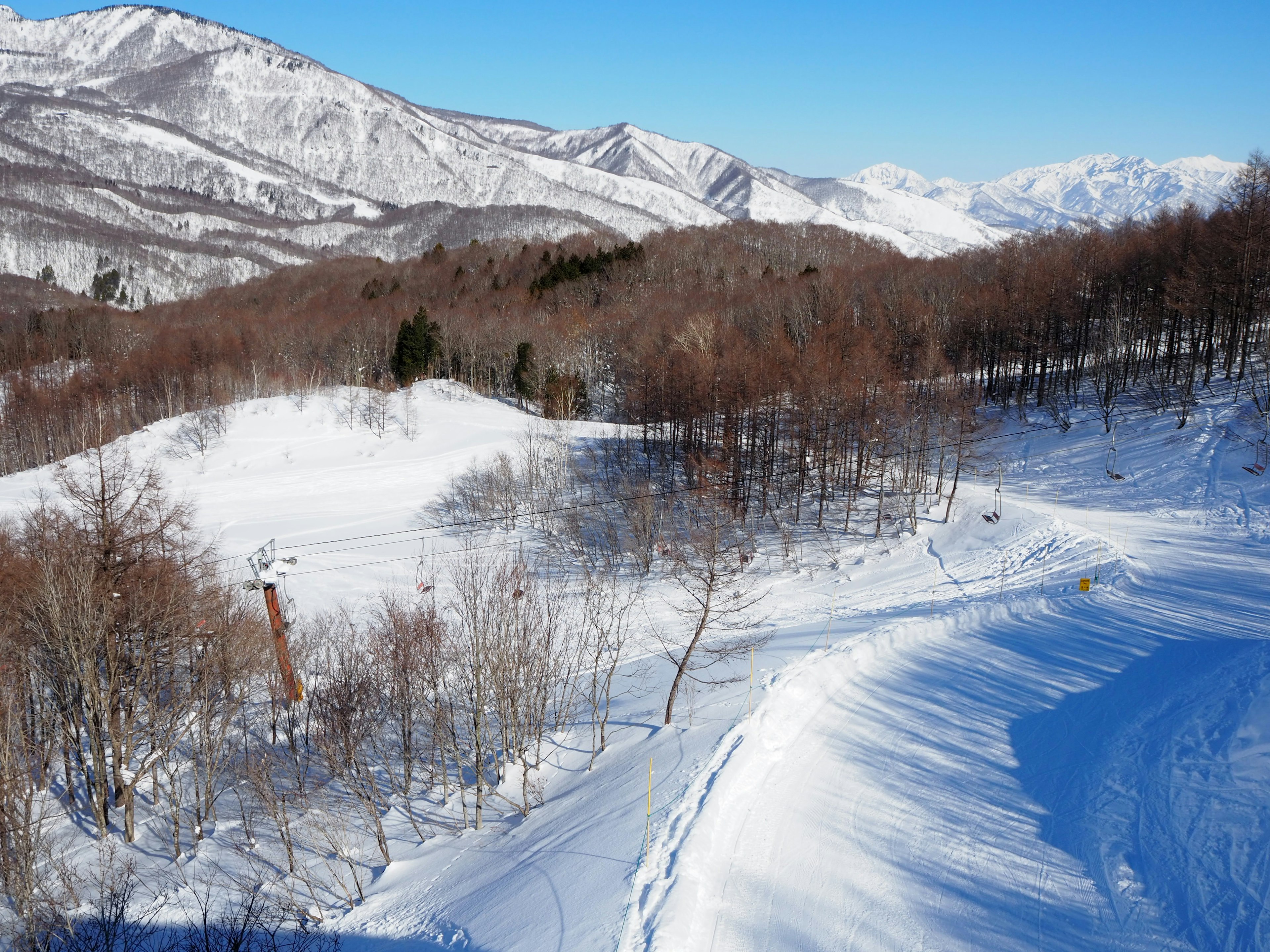 Paesaggio di montagne e alberi coperti di neve