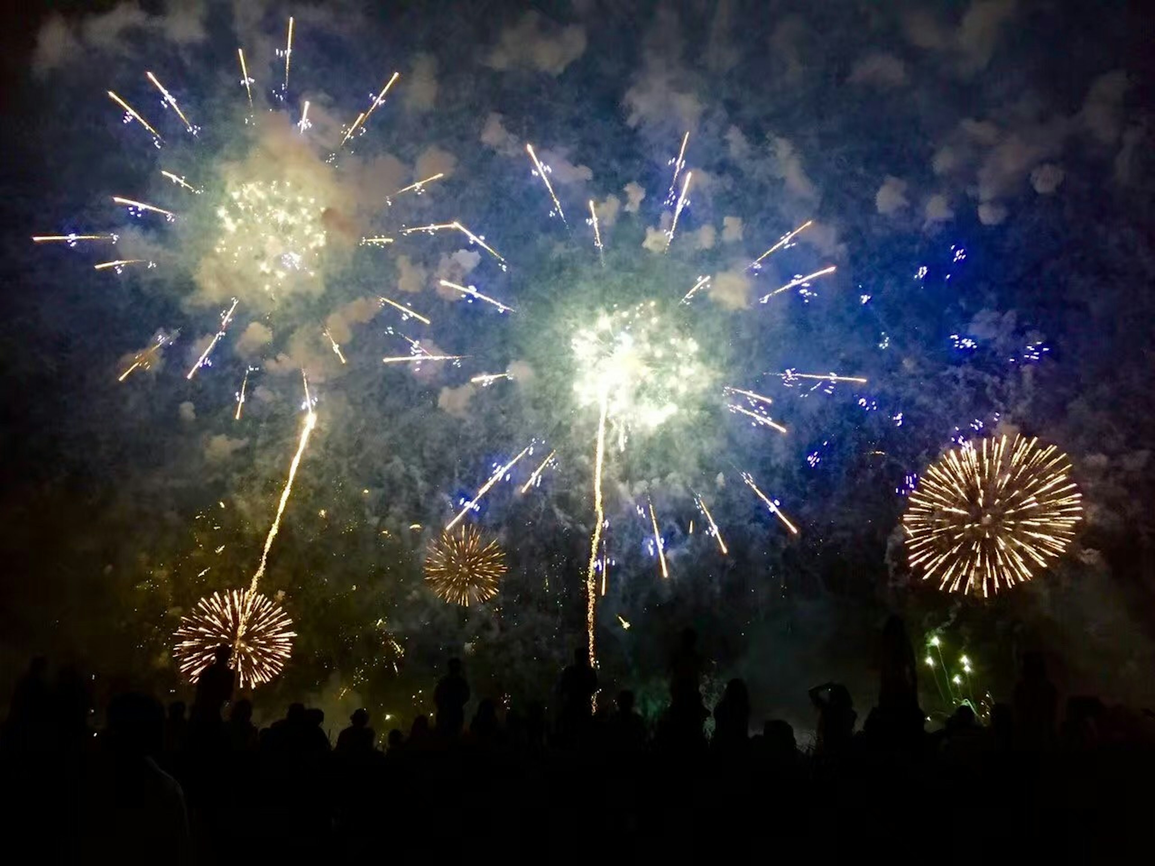 Des feux d'artifice colorés éclatent dans le ciel nocturne avec des silhouettes de spectateurs