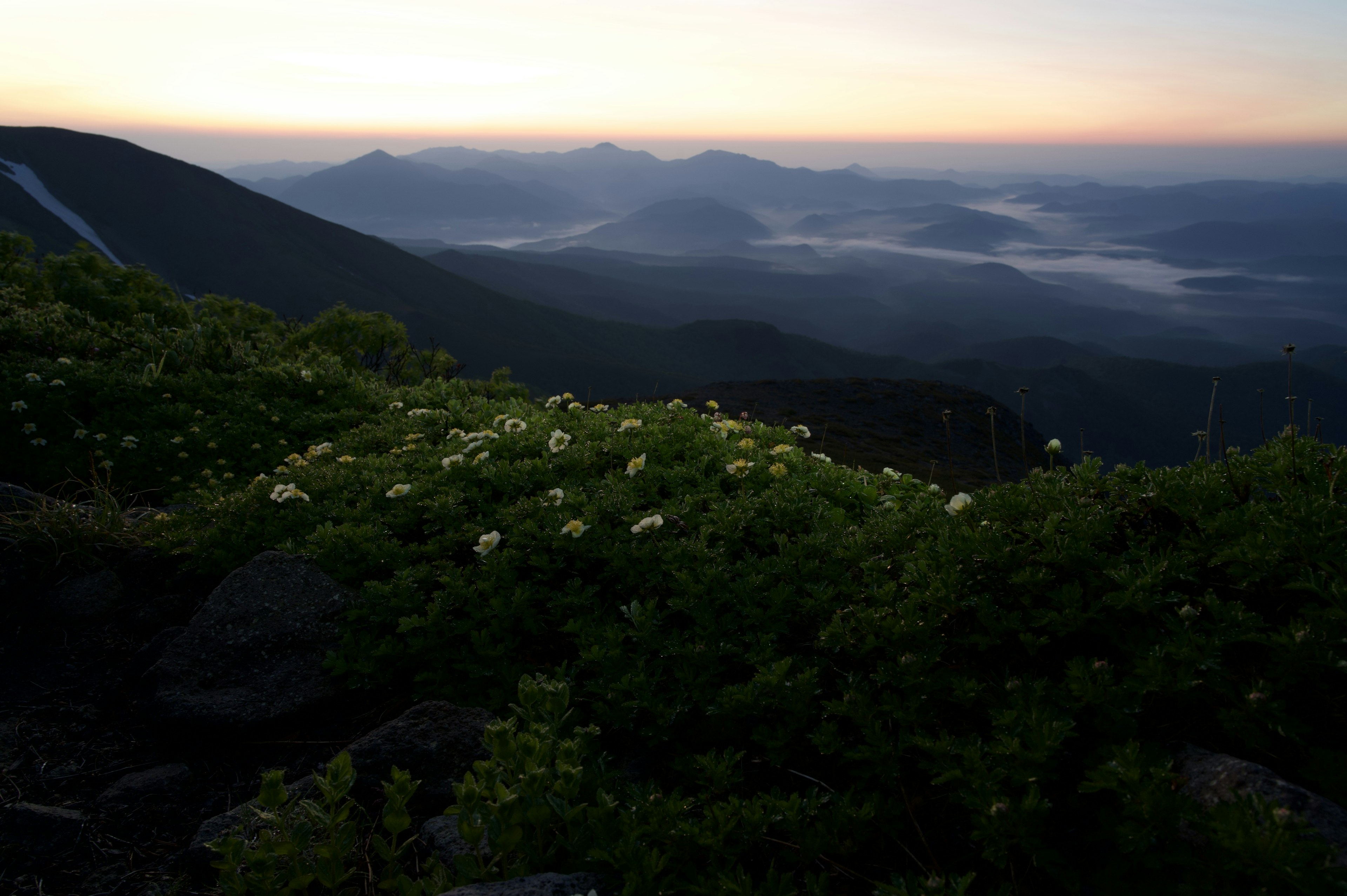 Landschaft mit weißen Blumen im Vordergrund und Bergen bei Sonnenaufgang