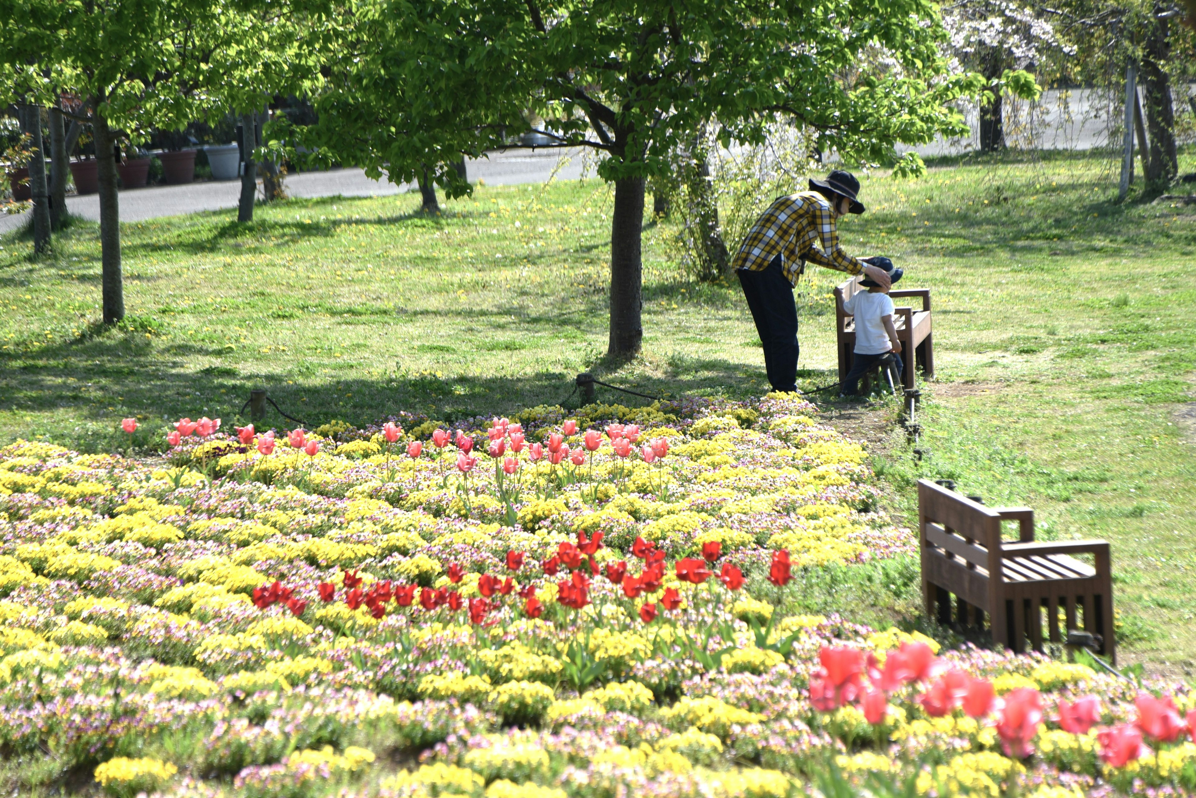 Escena de un anciano y un niño frente a flores en un parque