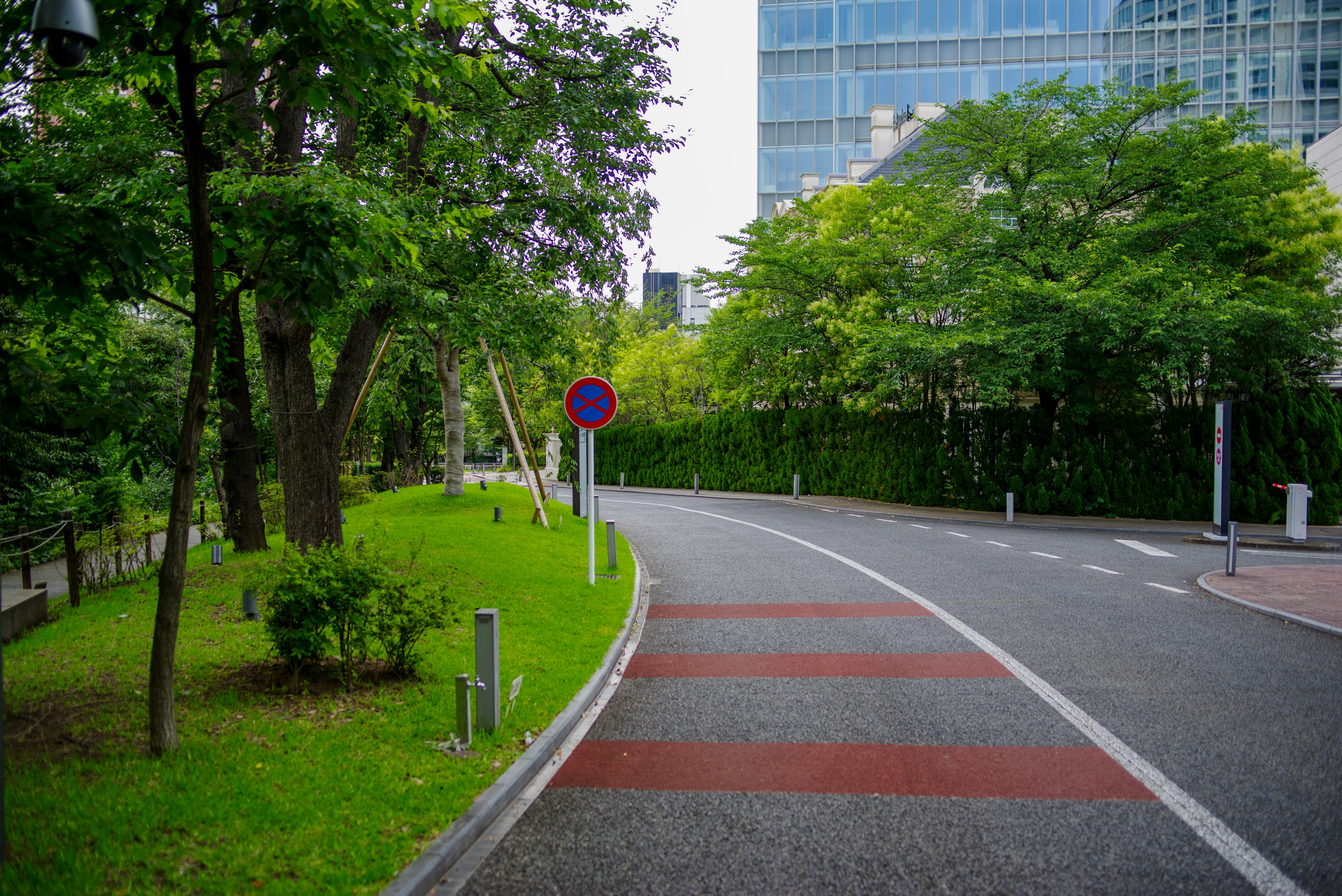 Scenic view of a winding road surrounded by greenery and modern buildings