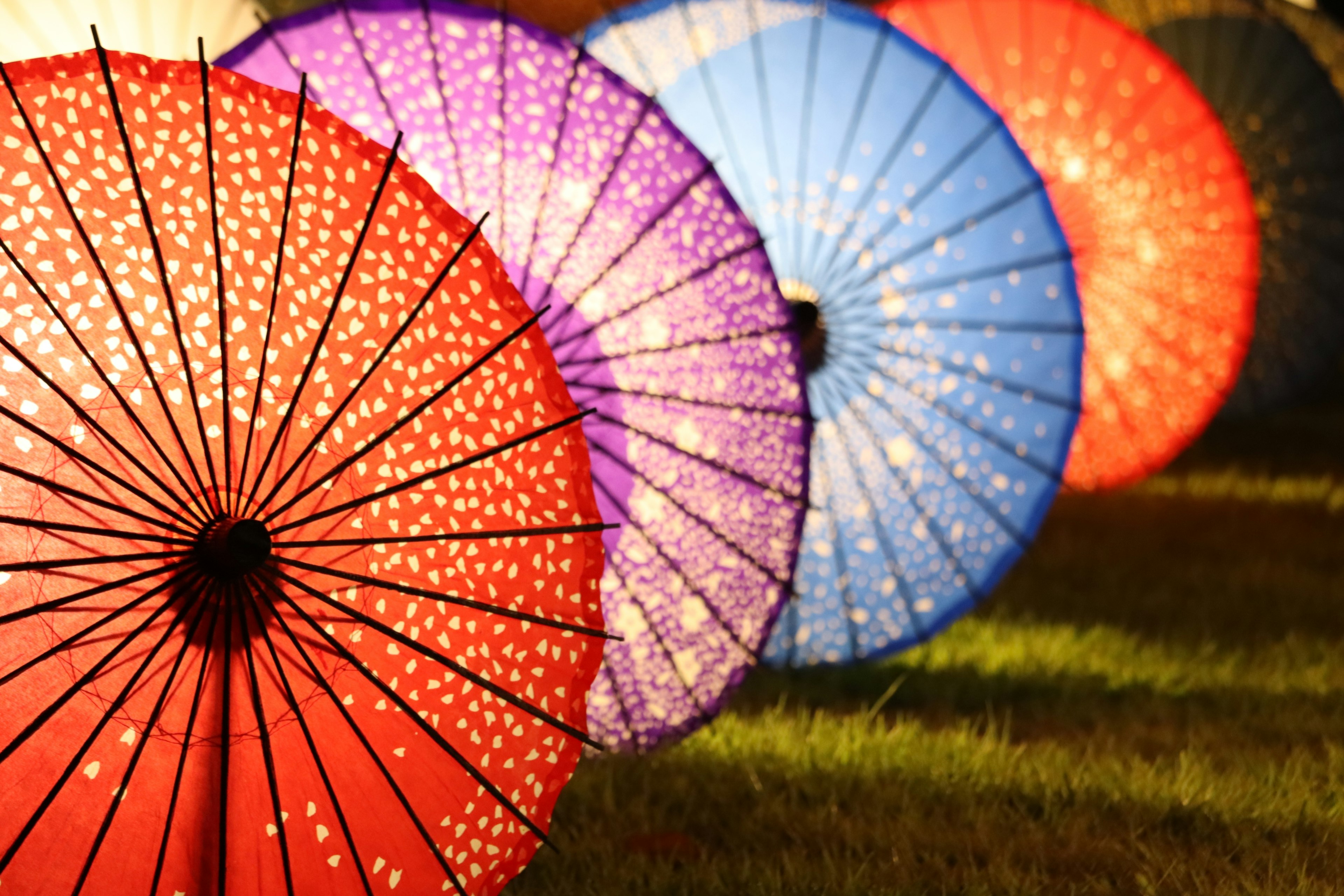 Colorful traditional umbrellas arranged in a beautiful scene