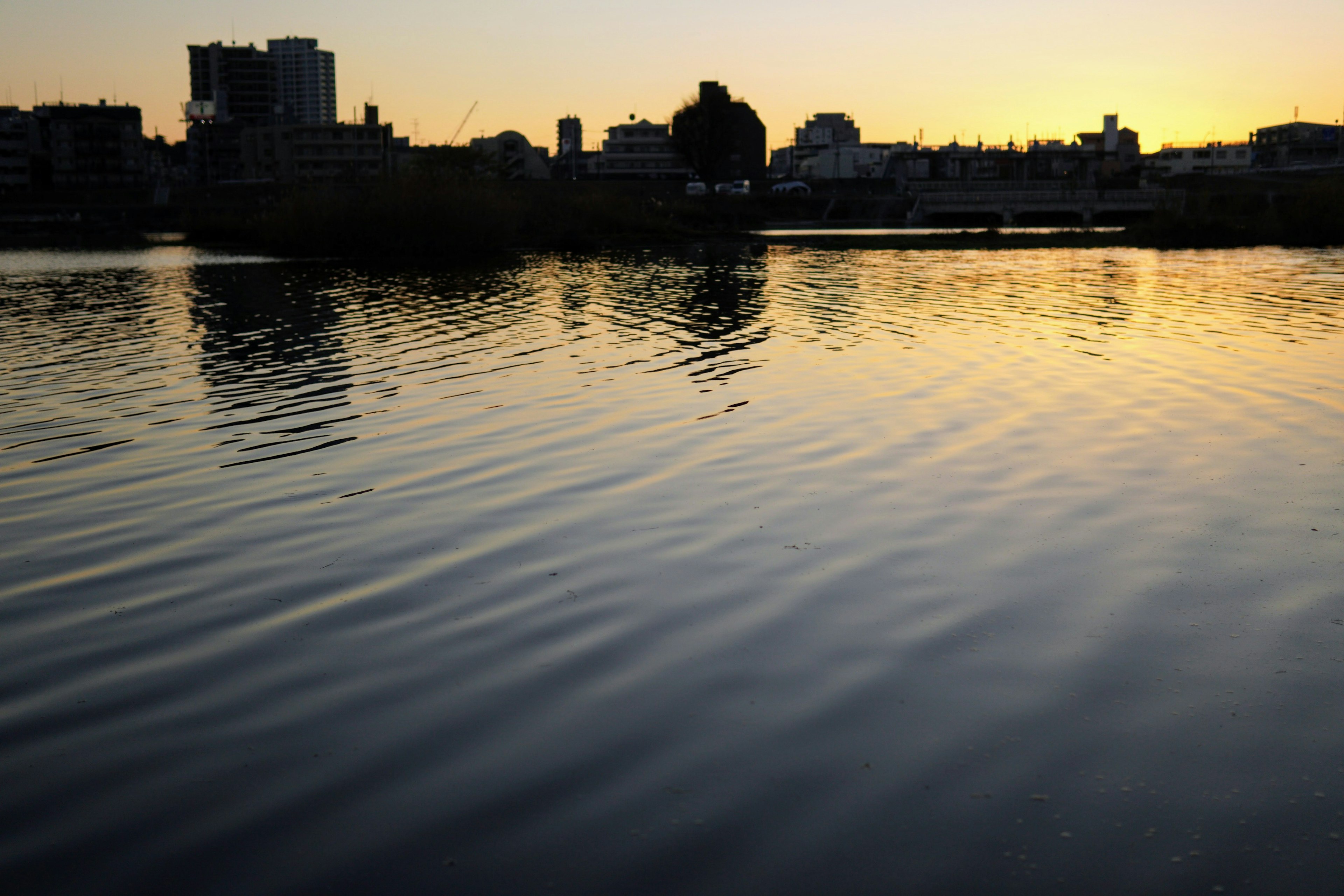 夕日が反射する静かな湖面とシルエットの都市景観