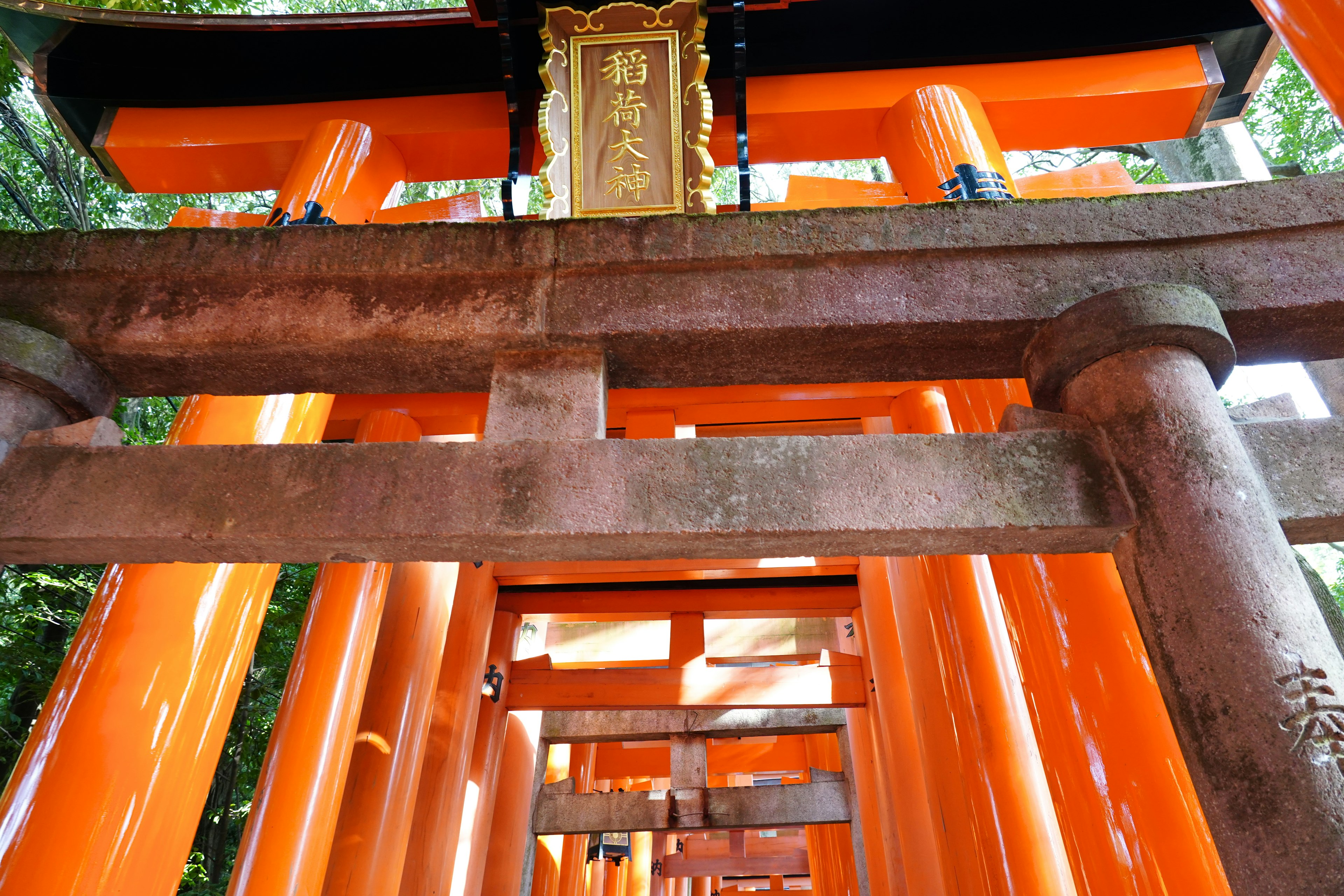 Lebendige orange Torii-Tore, die mit einem oben sichtbaren Schild ausgerichtet sind