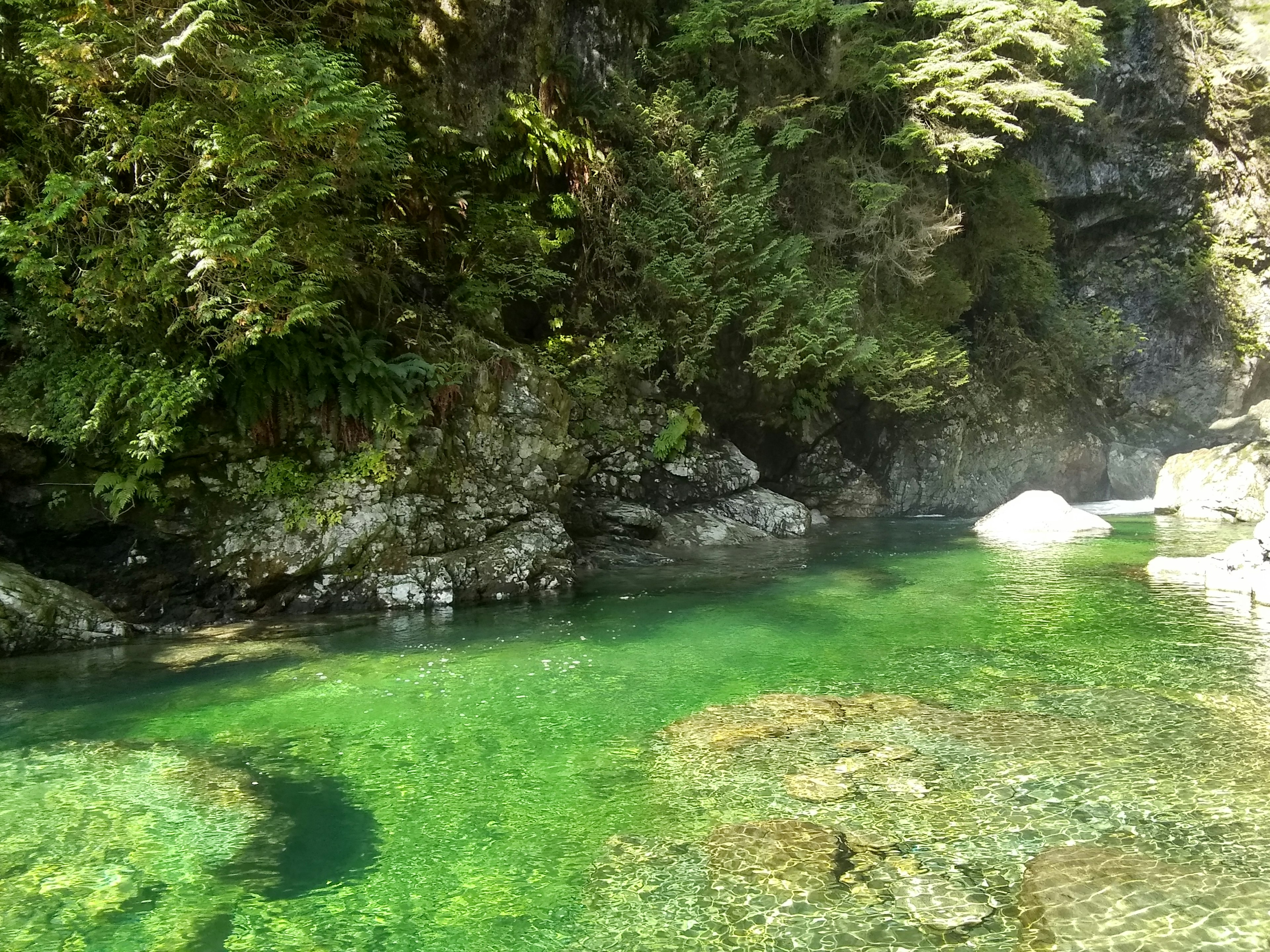 Un paisaje natural con un arroyo verde y formaciones rocosas