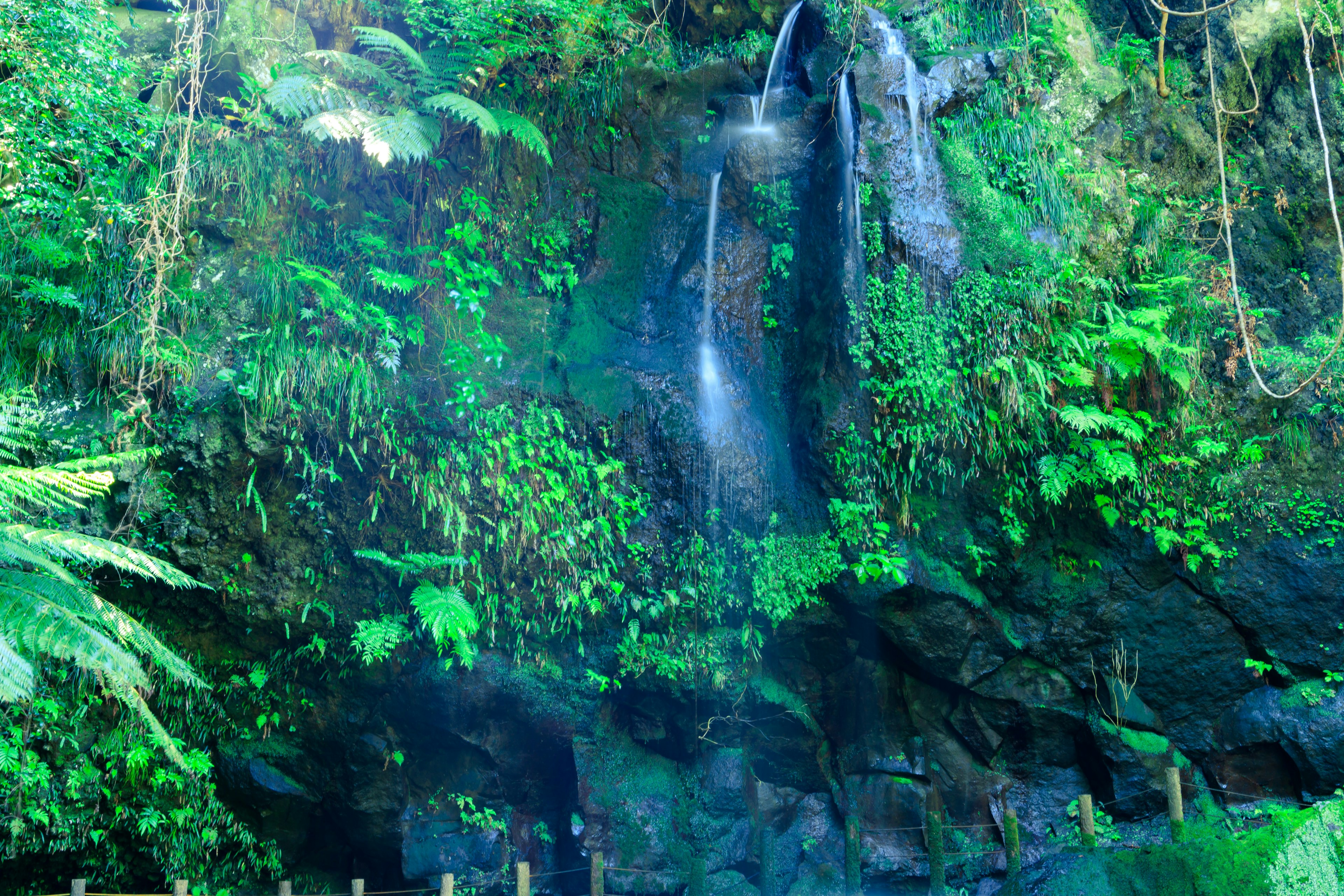 Pemandangan air terjun hijau subur dengan air mengalir dari batu