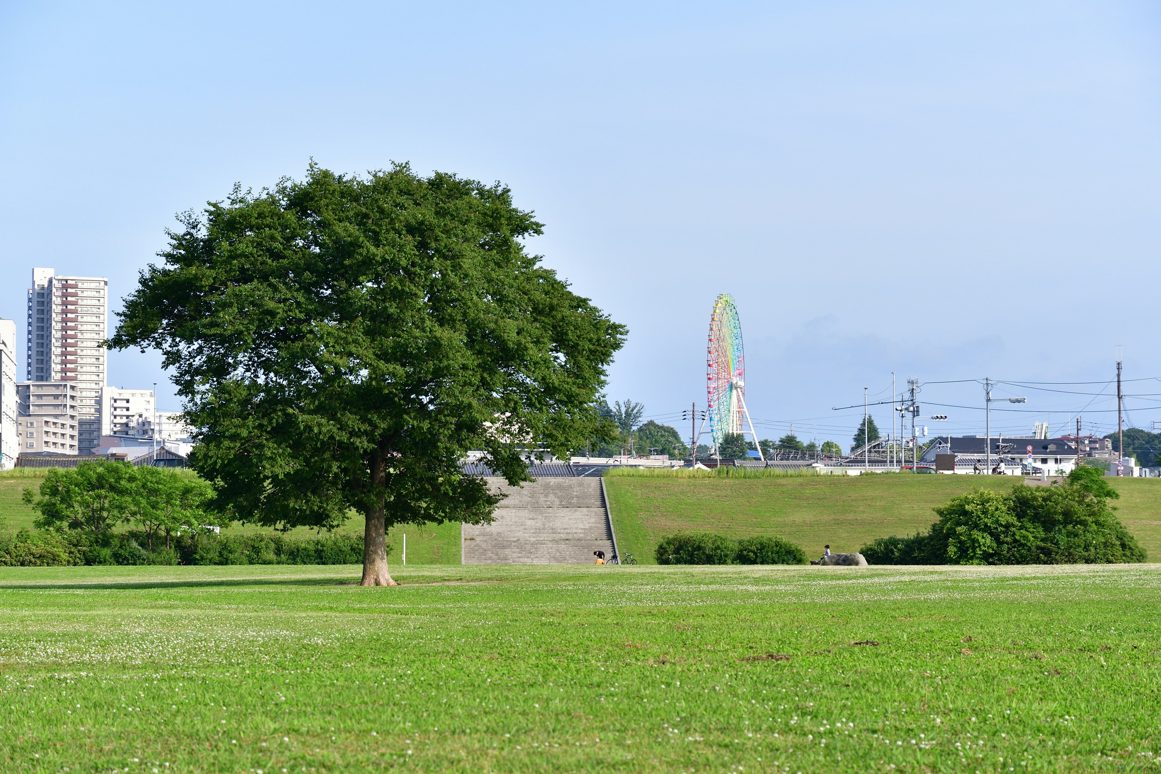 Park scene with green grass and a large tree featuring skyscrapers and a Ferris wheel in the background