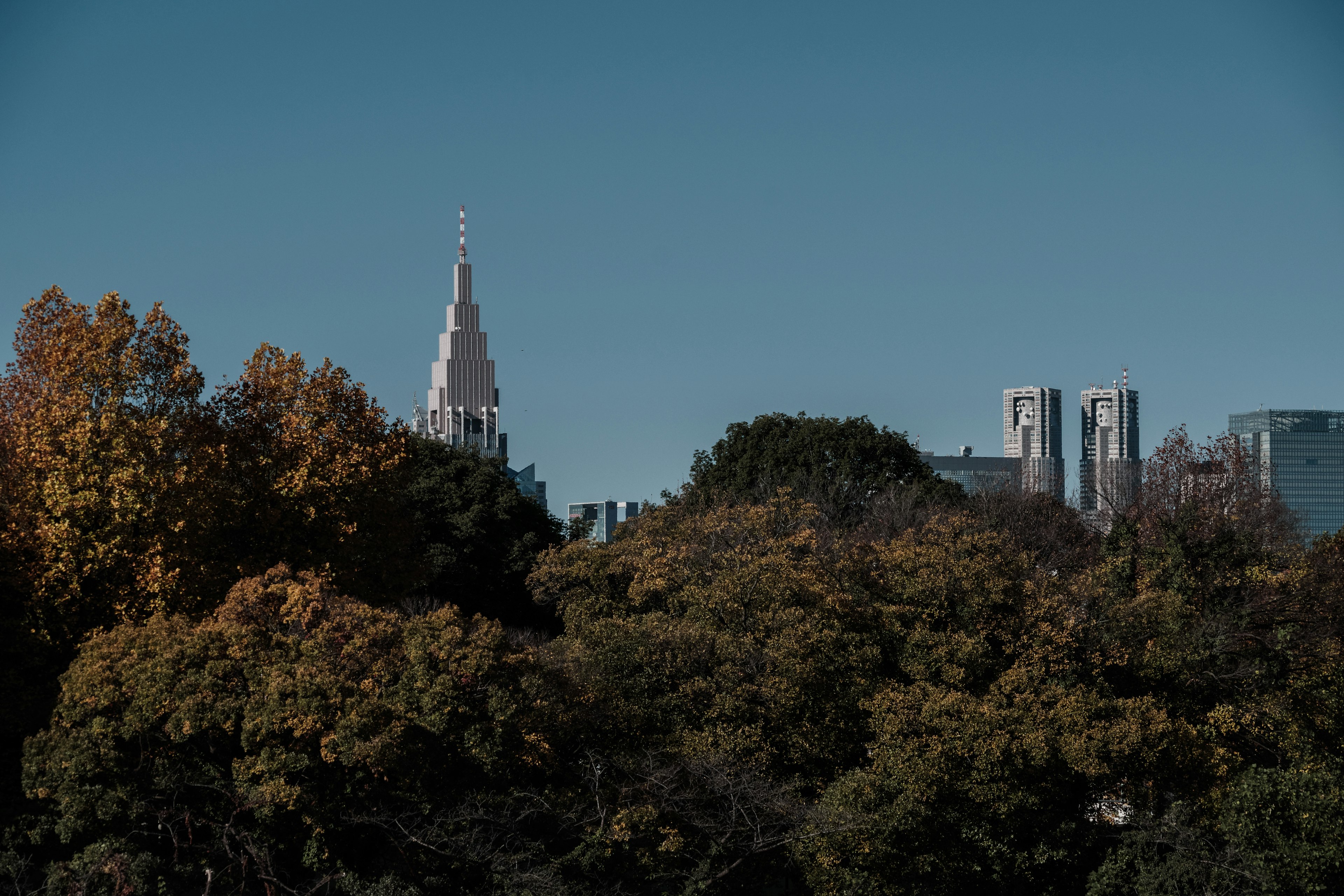 Pemandangan Empire State Building di belakang pepohonan berwarna musim gugur