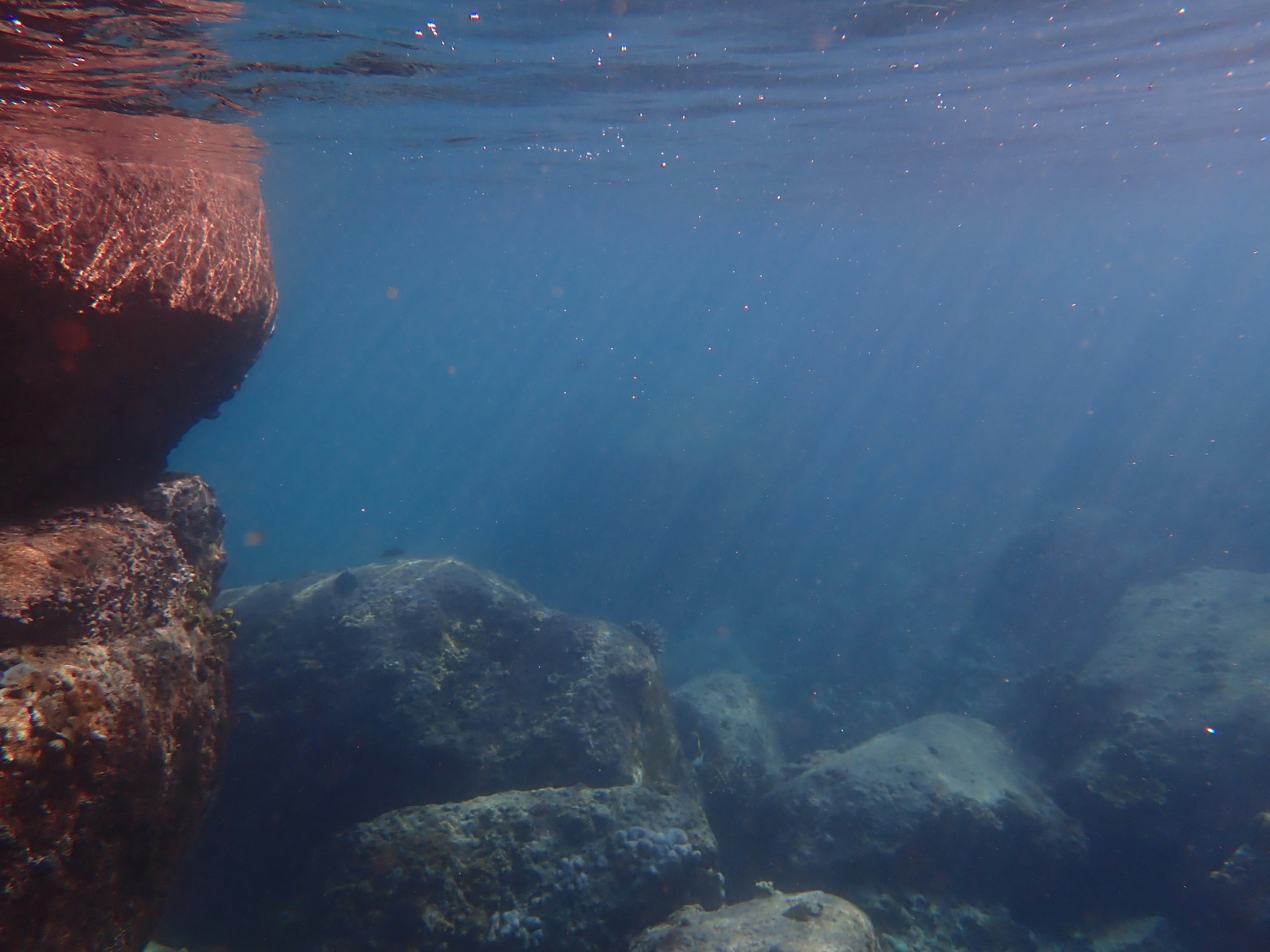 Underwater scene featuring rocks and blue water