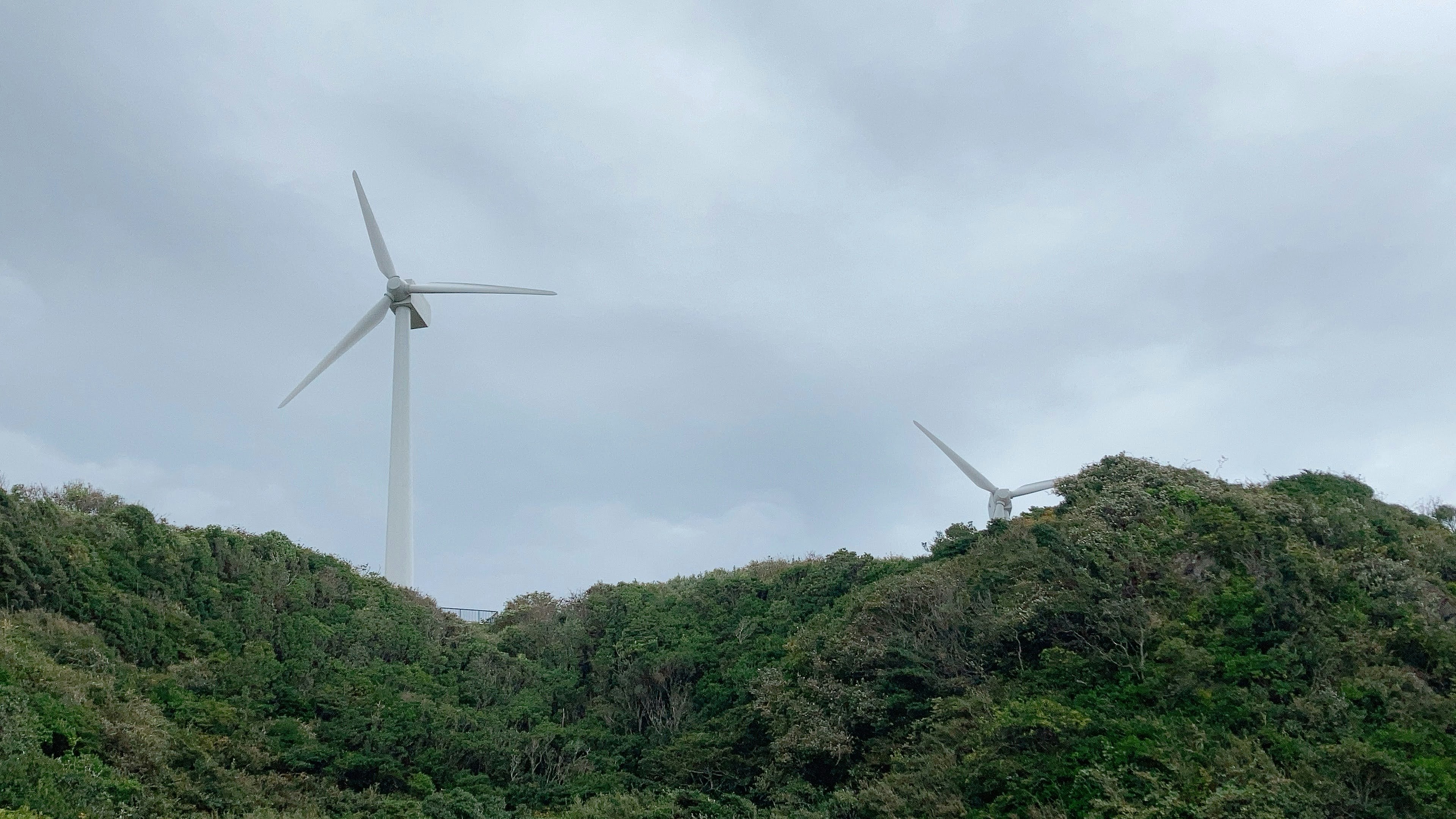 緑豊かな丘の上にある風力発電機と曇り空