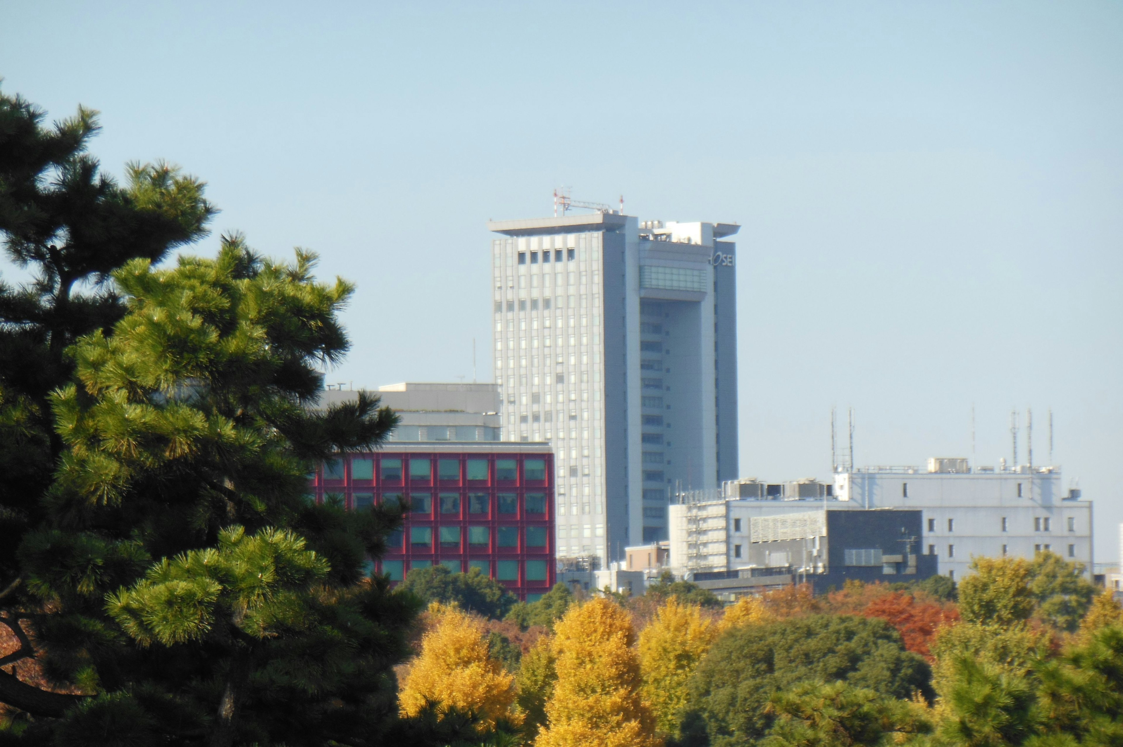 Blick auf hohe Gebäude mit Herbstlaub