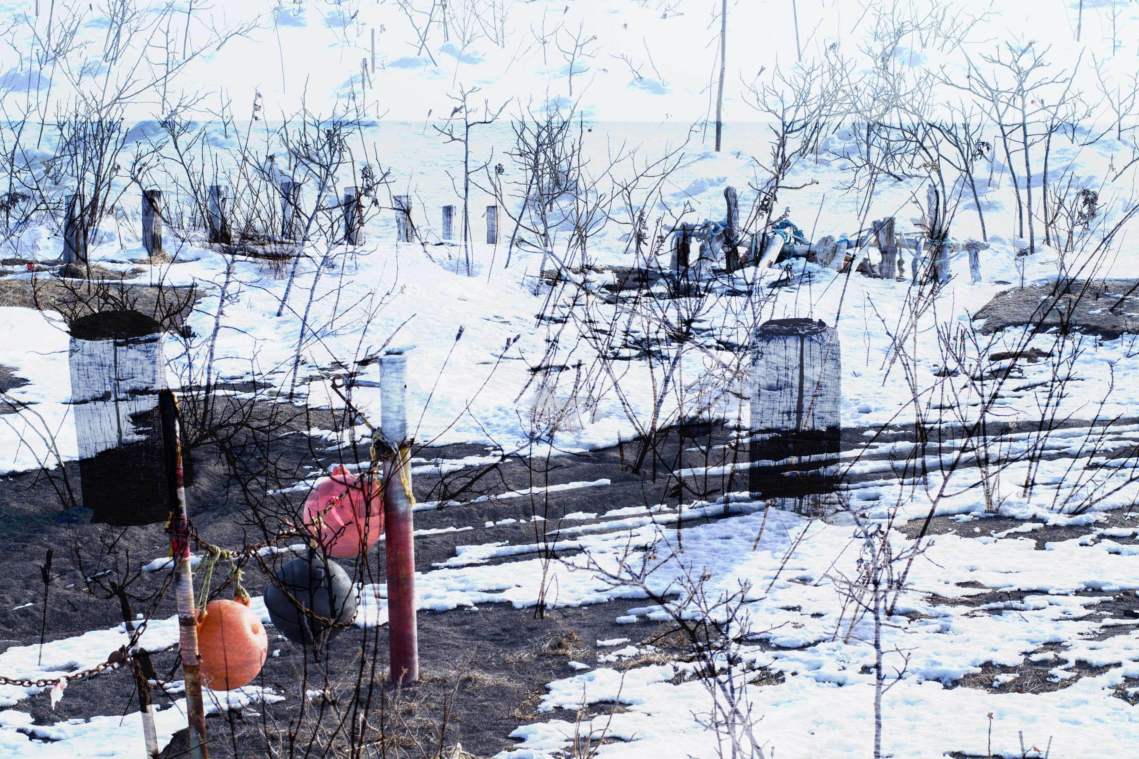 Snow-covered landscape with trees and small huts visible