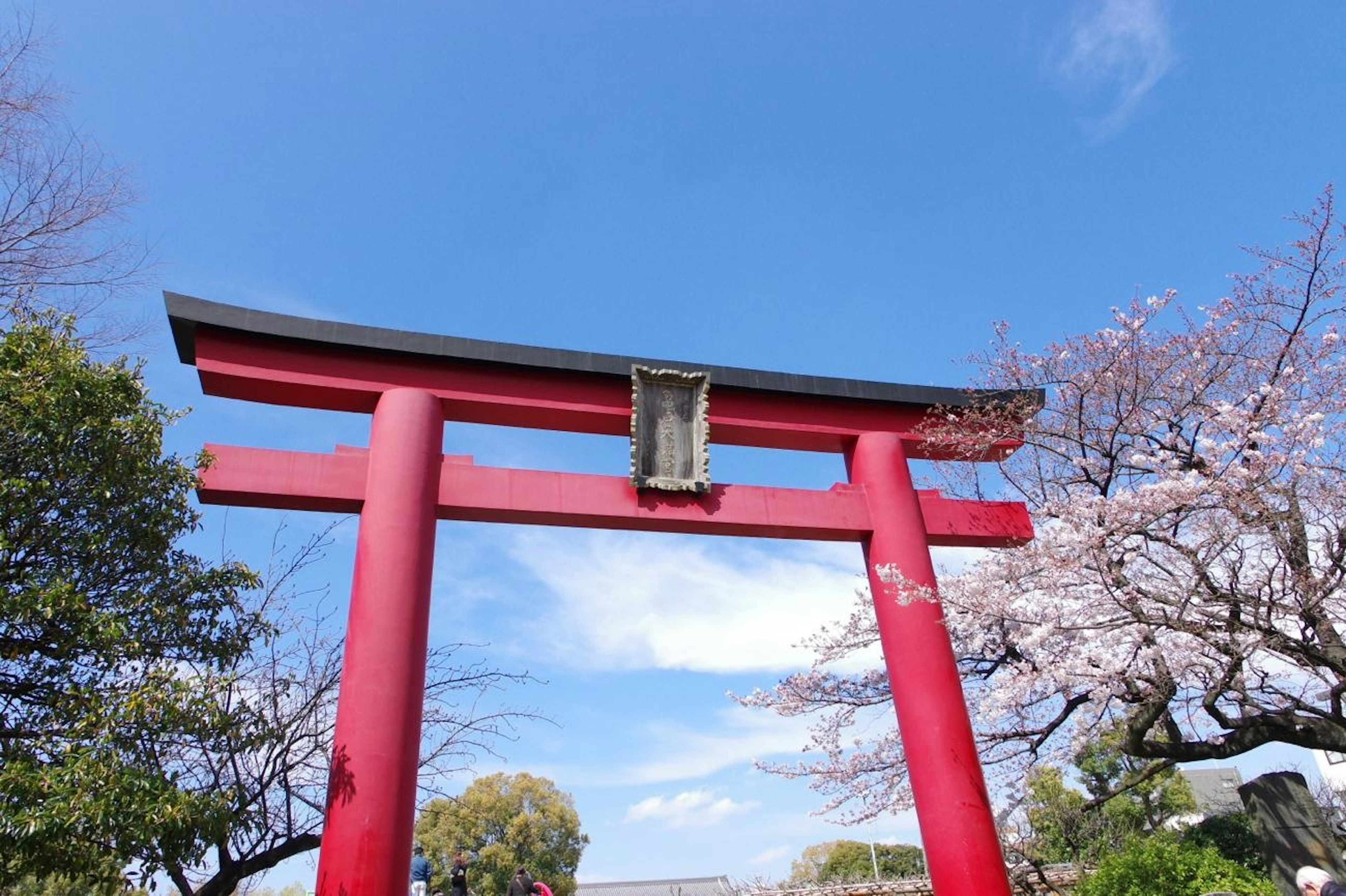 Red torii gate with cherry blossom trees under a blue sky