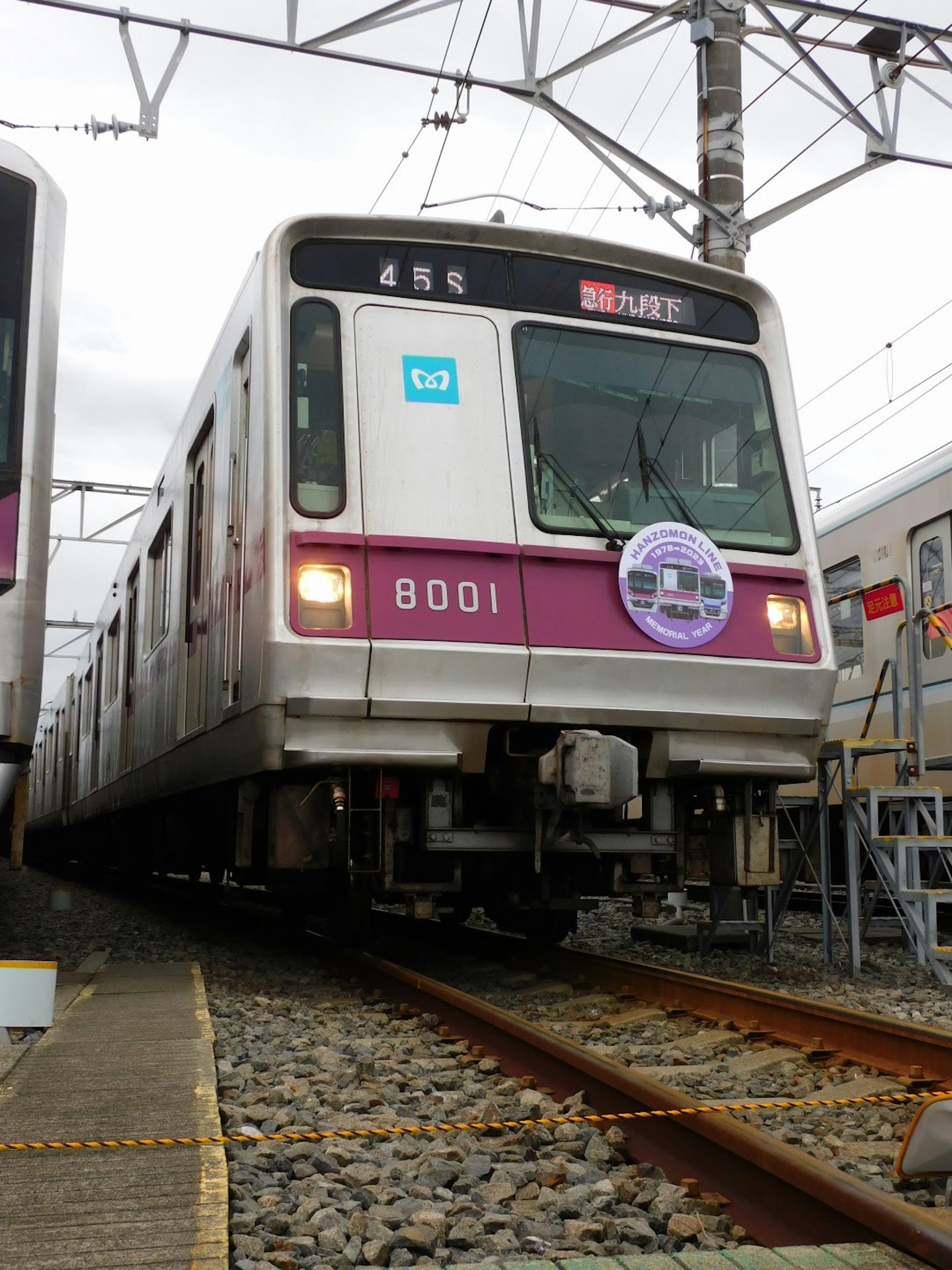 Train numéro 8001 sur les rails avec des fils aériens