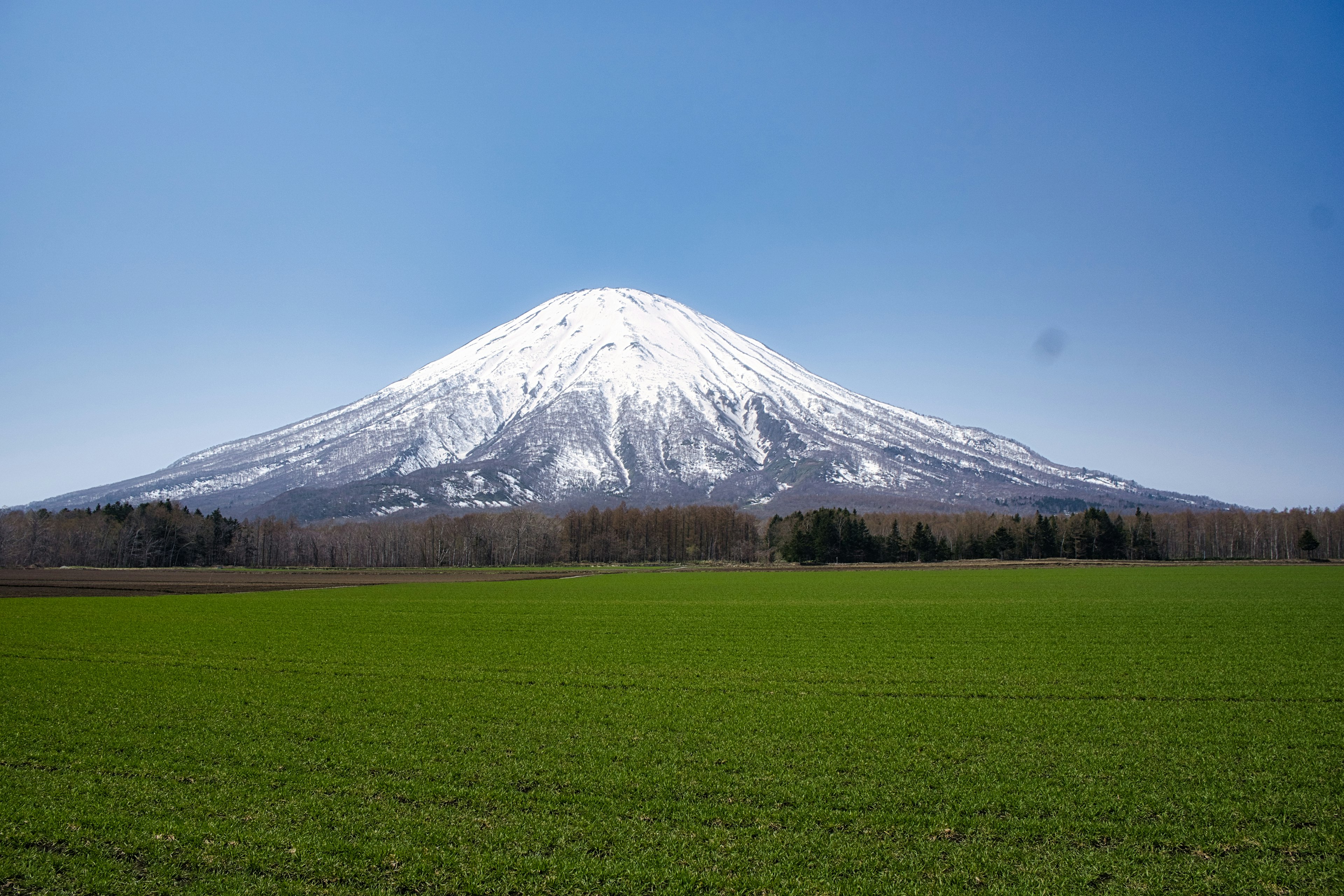 Schneebedeckter Berg mit einem lebhaften grünen Feld im Vordergrund