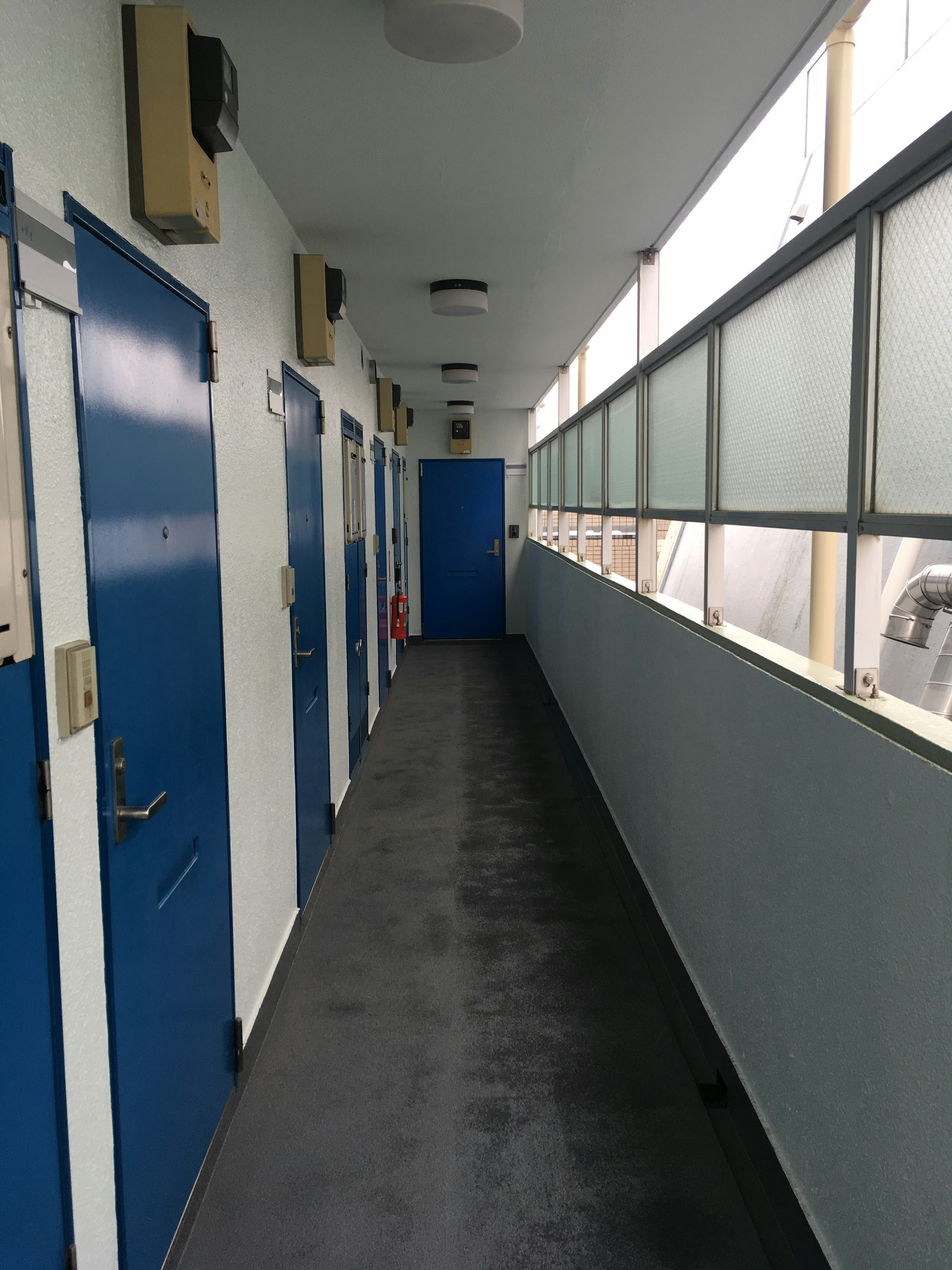 Interior corridor with blue doors and natural light from transparent windows