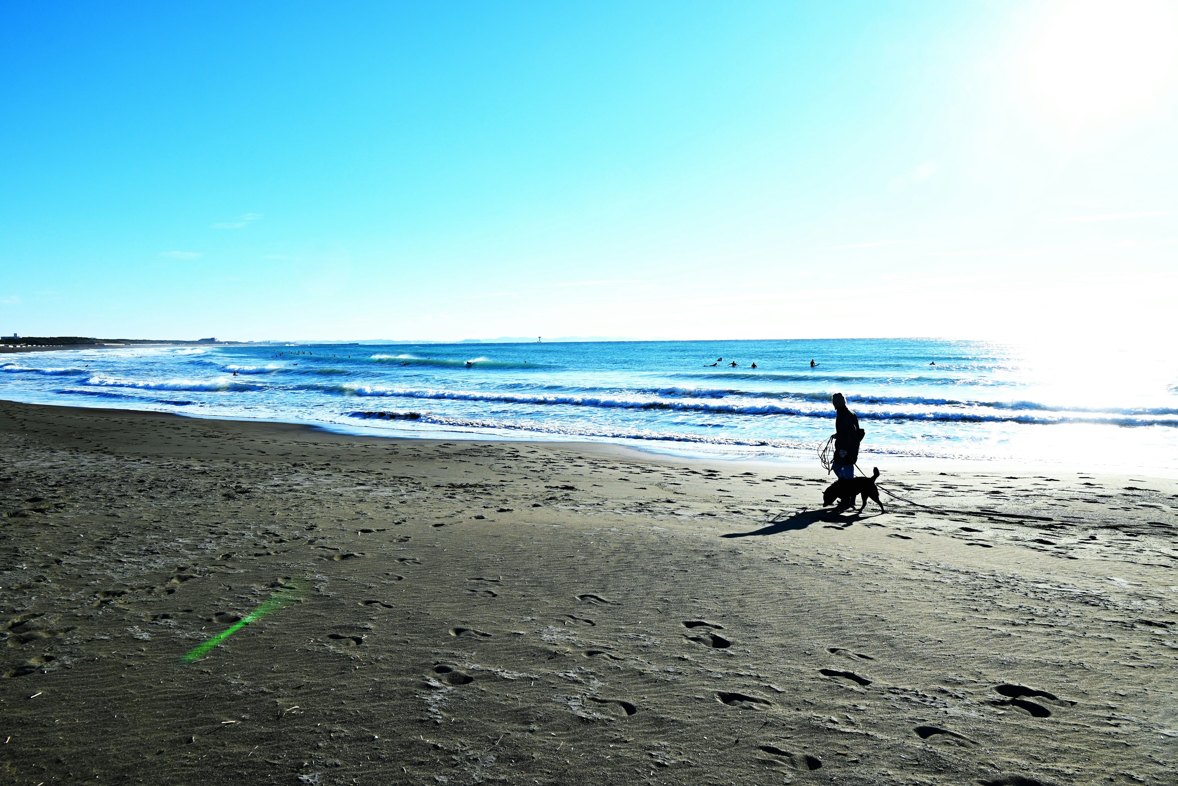 Person, die einen Hund an einem sonnigen Strand spazieren führt