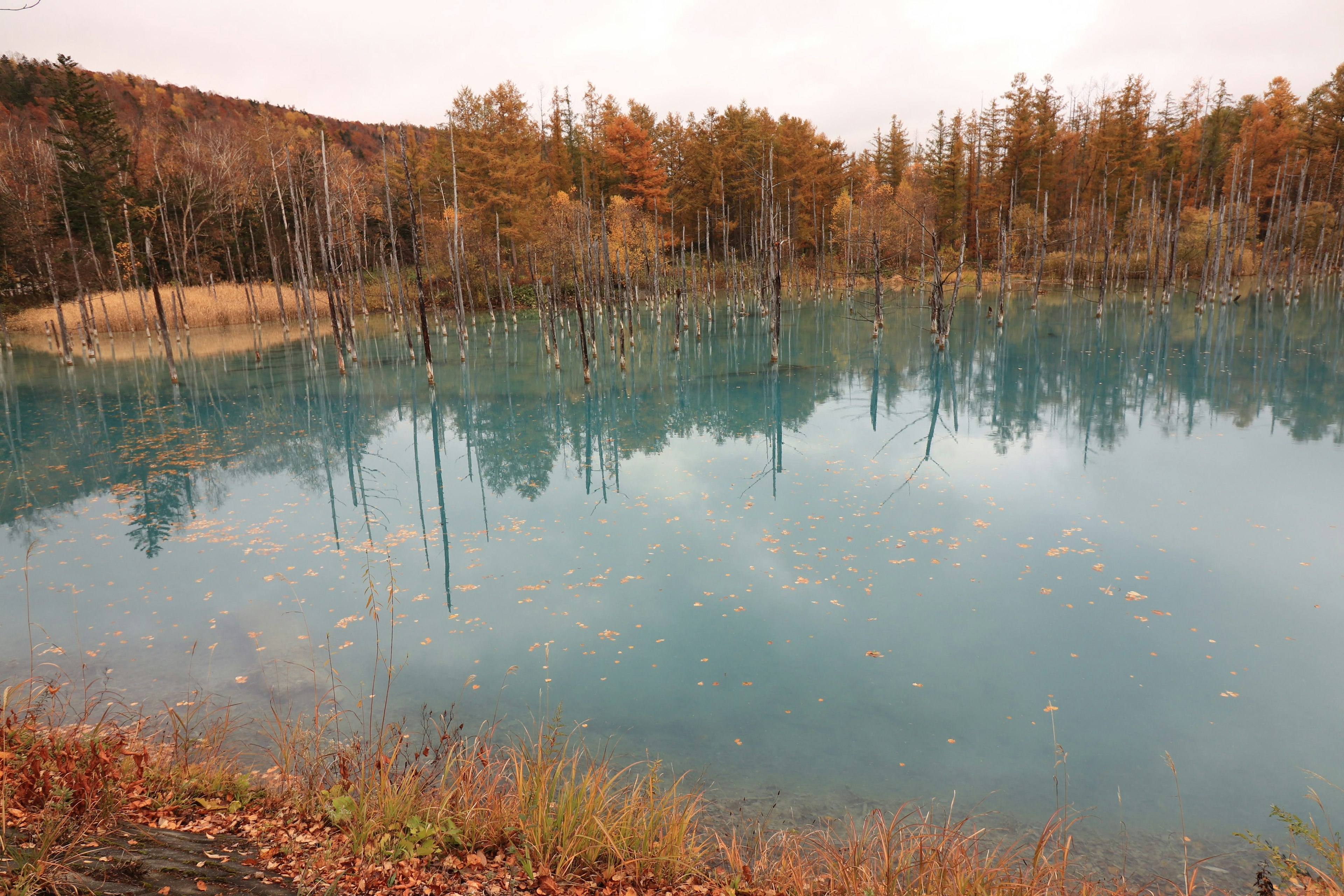 Paisaje de otoño con un lago y reflejos de árboles en colores vibrantes