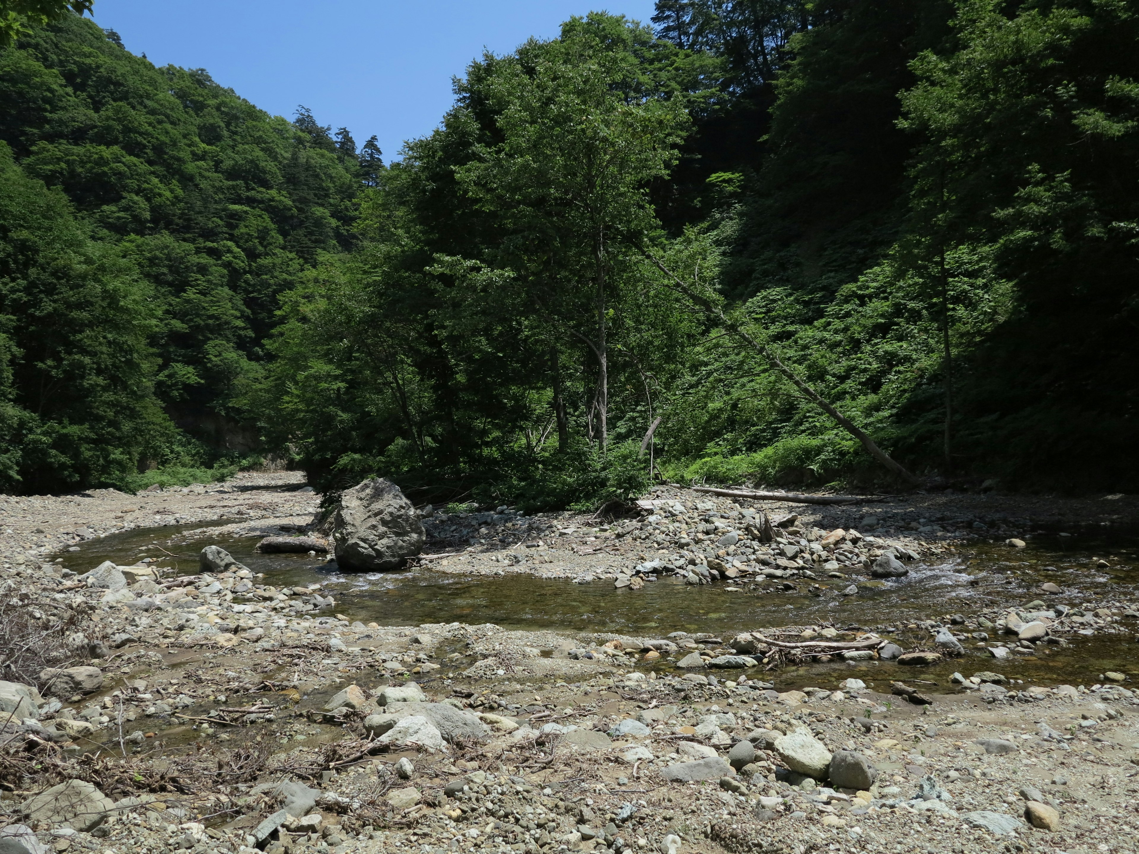 川と緑の山々が広がる風景で、乾燥した地面と少しの水が見える