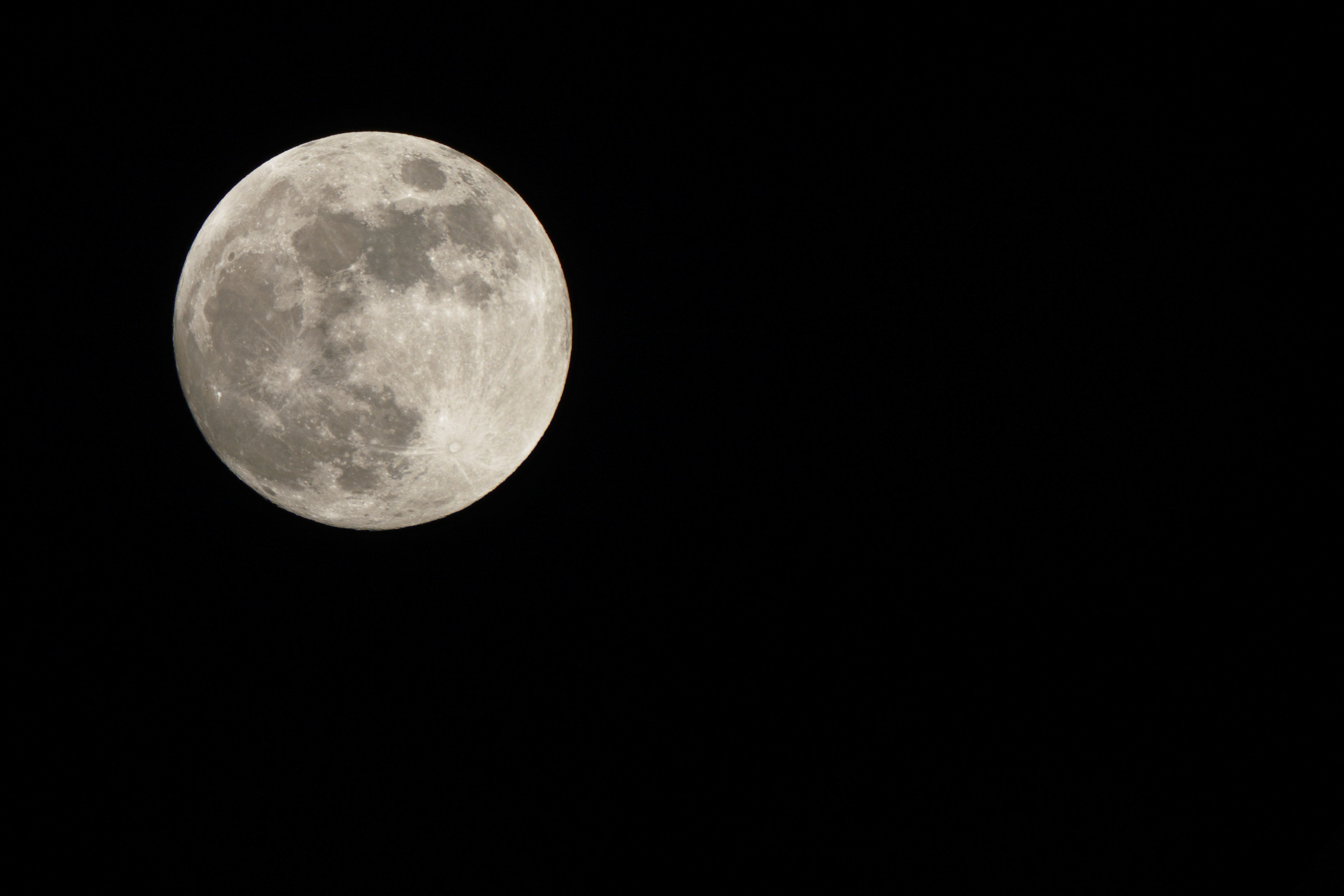 Ein voller Mond leuchtet am Nachthimmel