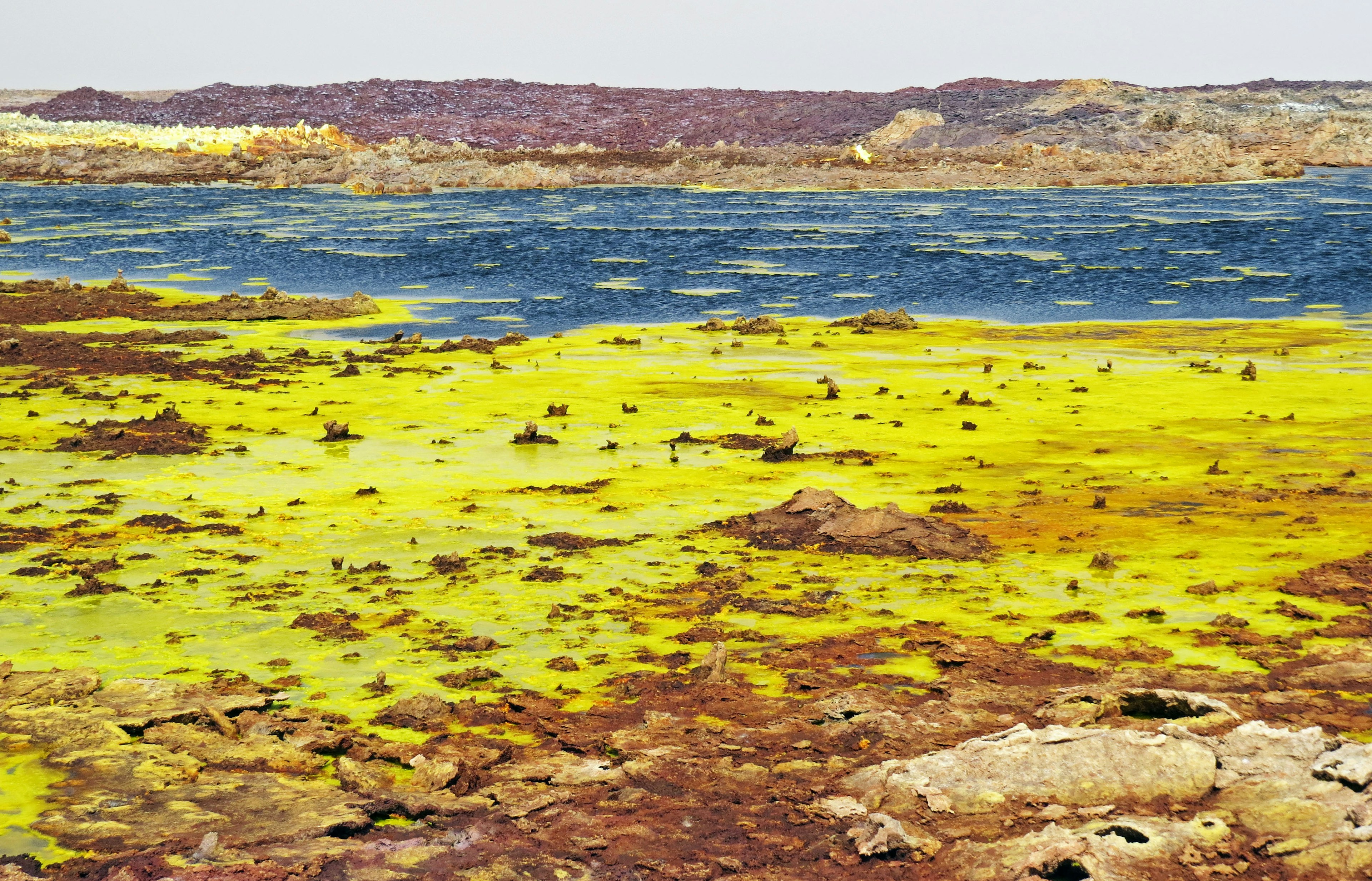 Paysage vibrant avec des teintes jaunes et bleues