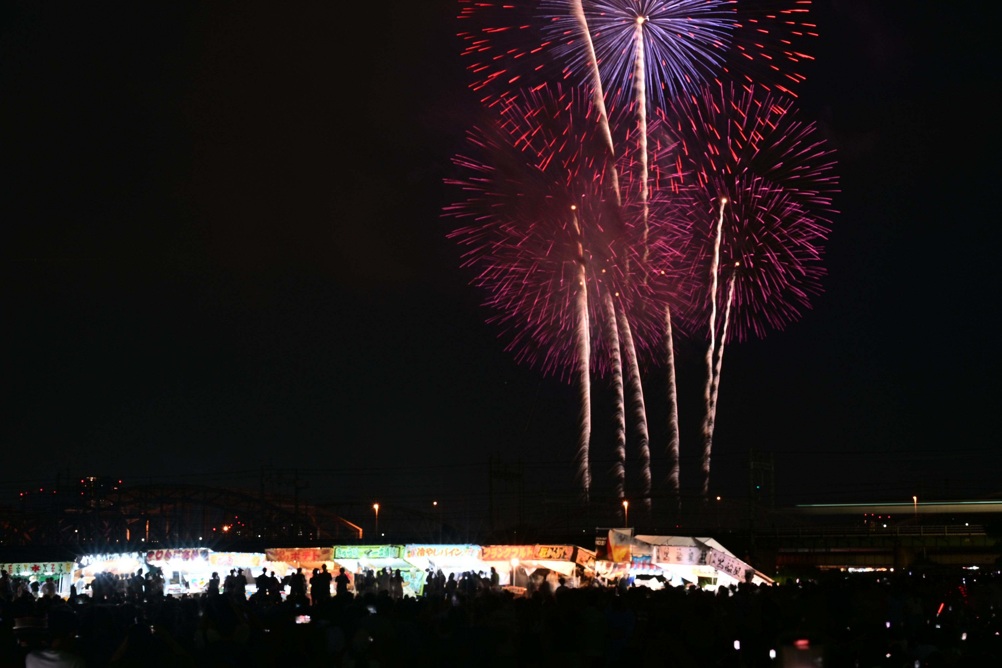 夜空中绚丽的烟花表演吸引了大量观众