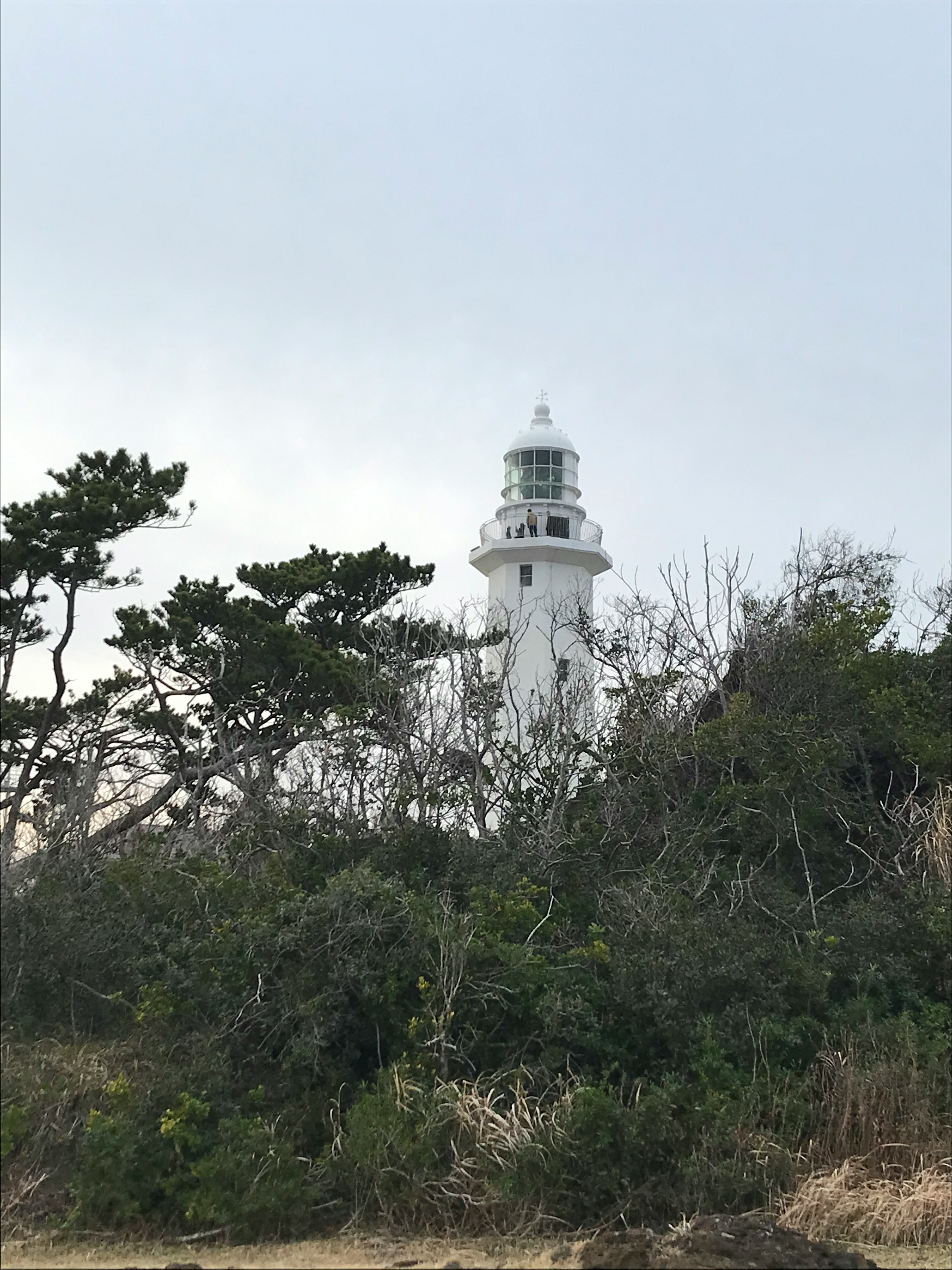 白い灯台が霧に包まれた海岸の風景