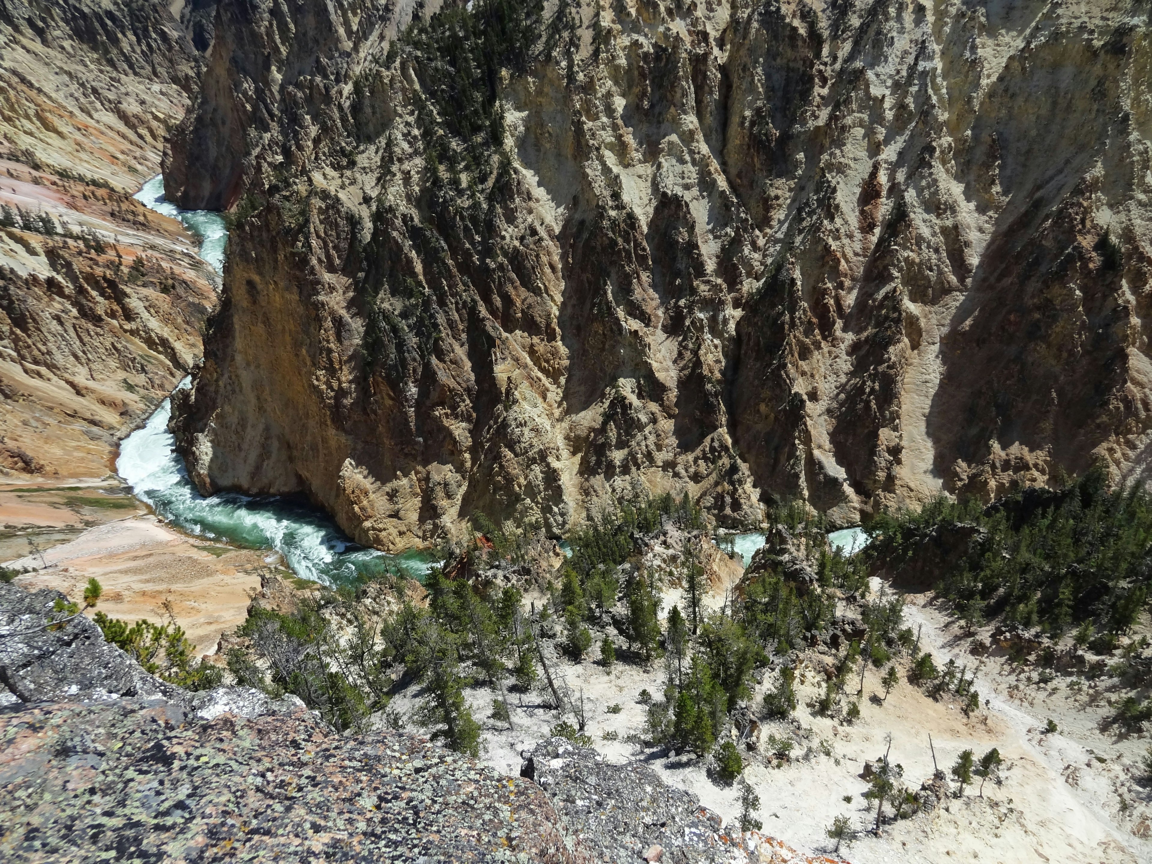 Impresionante vista del cañón y el río en el parque nacional de Yellowstone