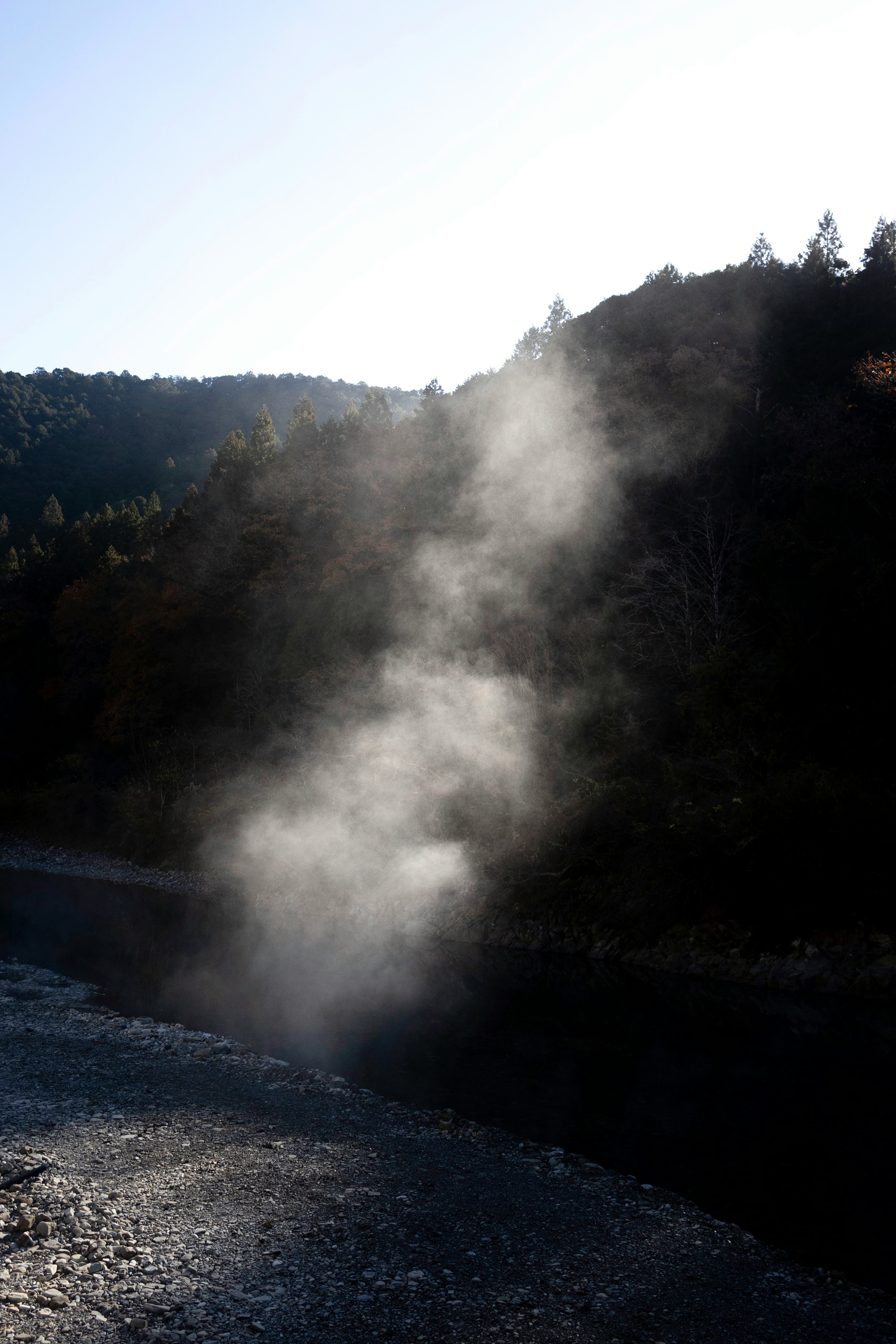 Nebbia che si alza vicino a un fiume con uno sfondo boschivo