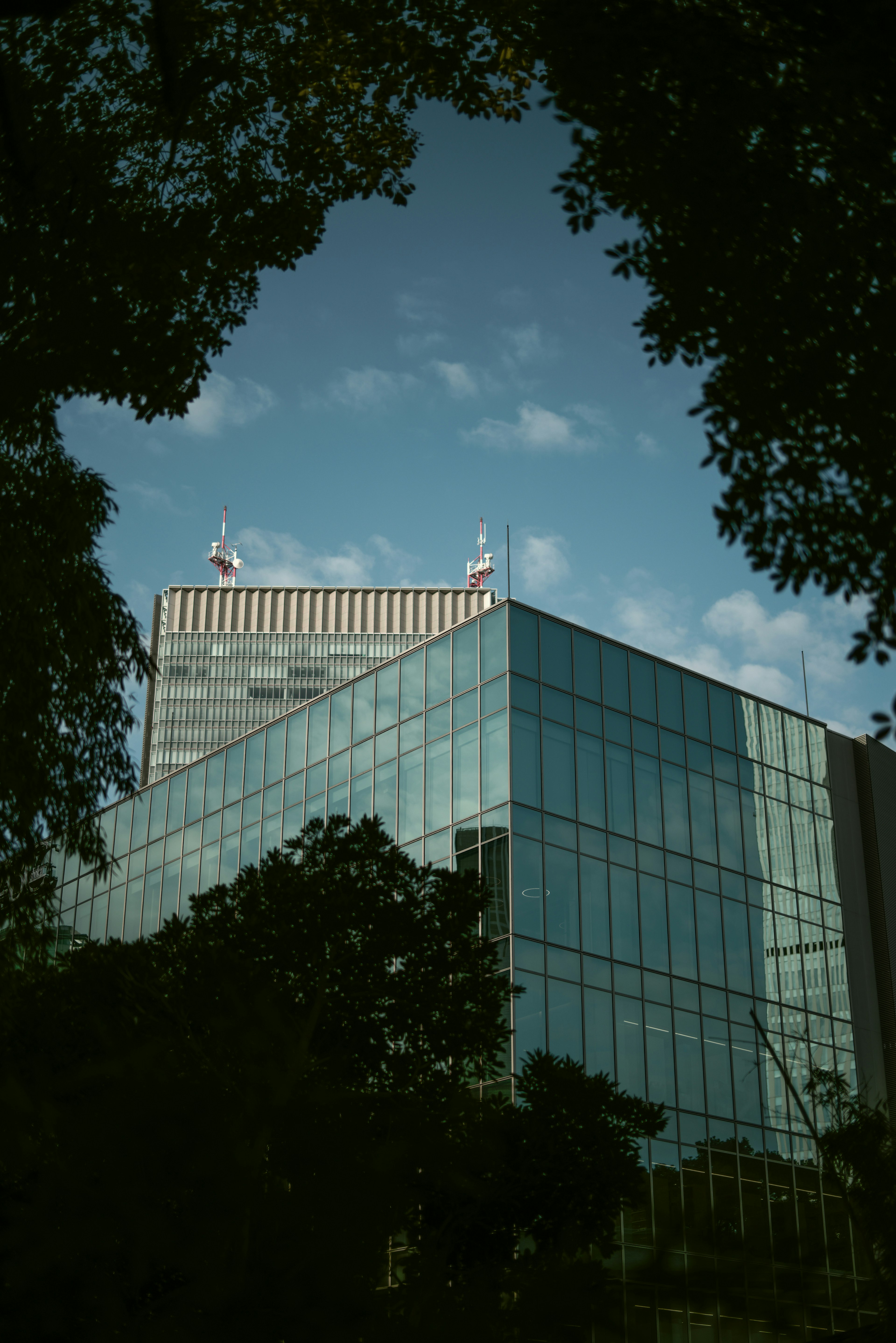 Modern glass building with a blue sky and trees framing the view