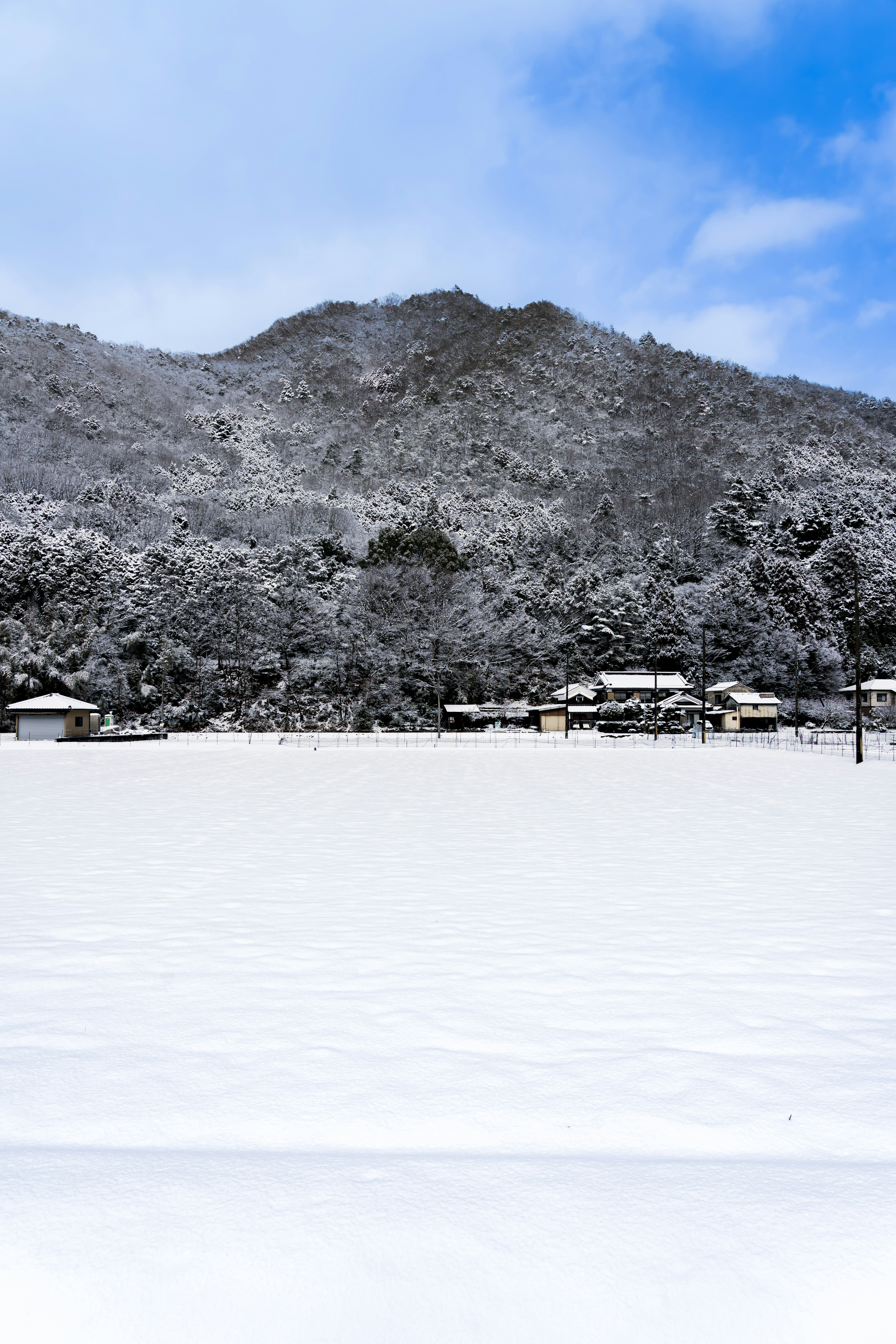 雪覆盖的山脉和房屋的风景