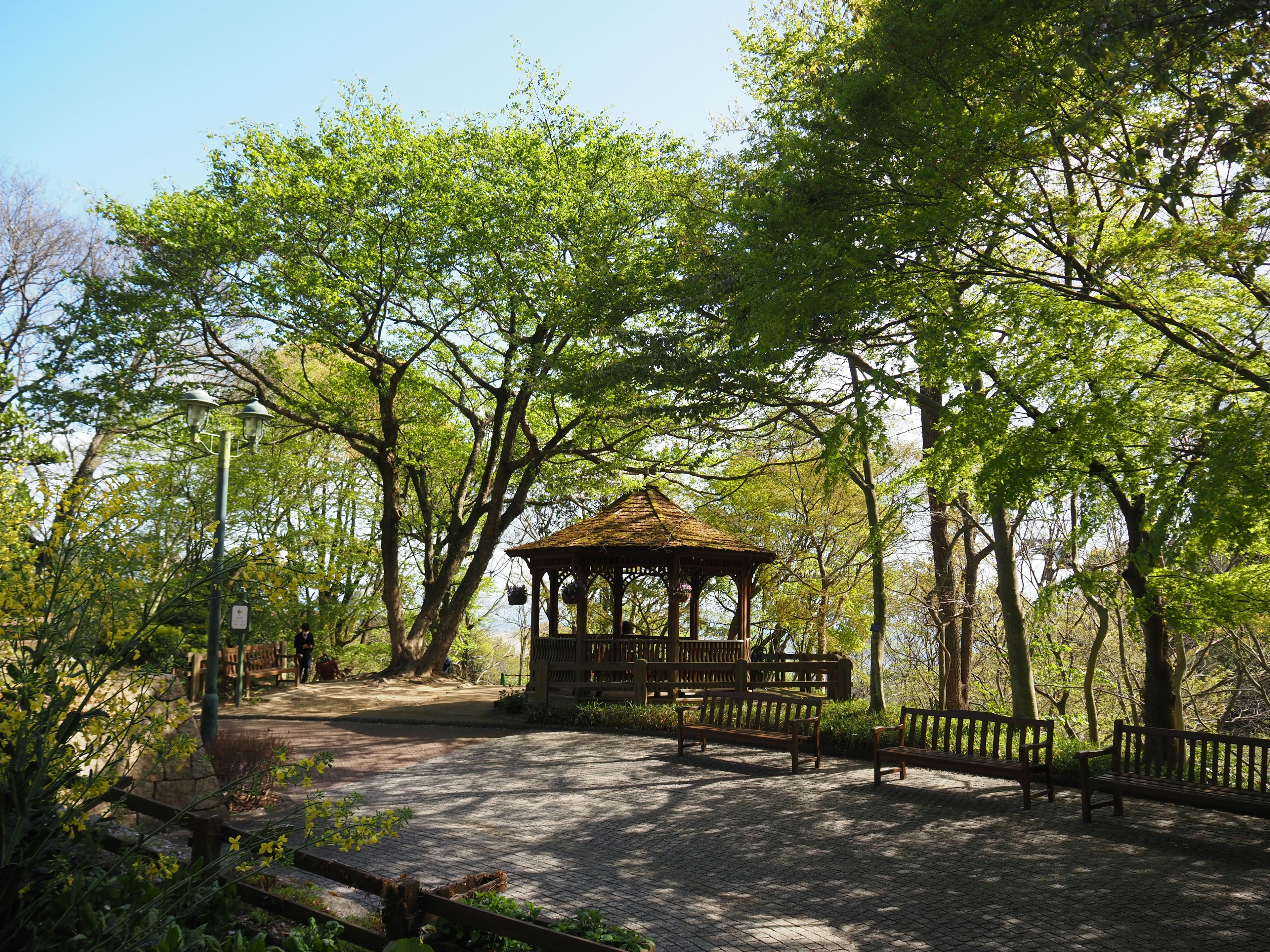 緑豊かな公園の中にある木製のガゼボと周囲の木々