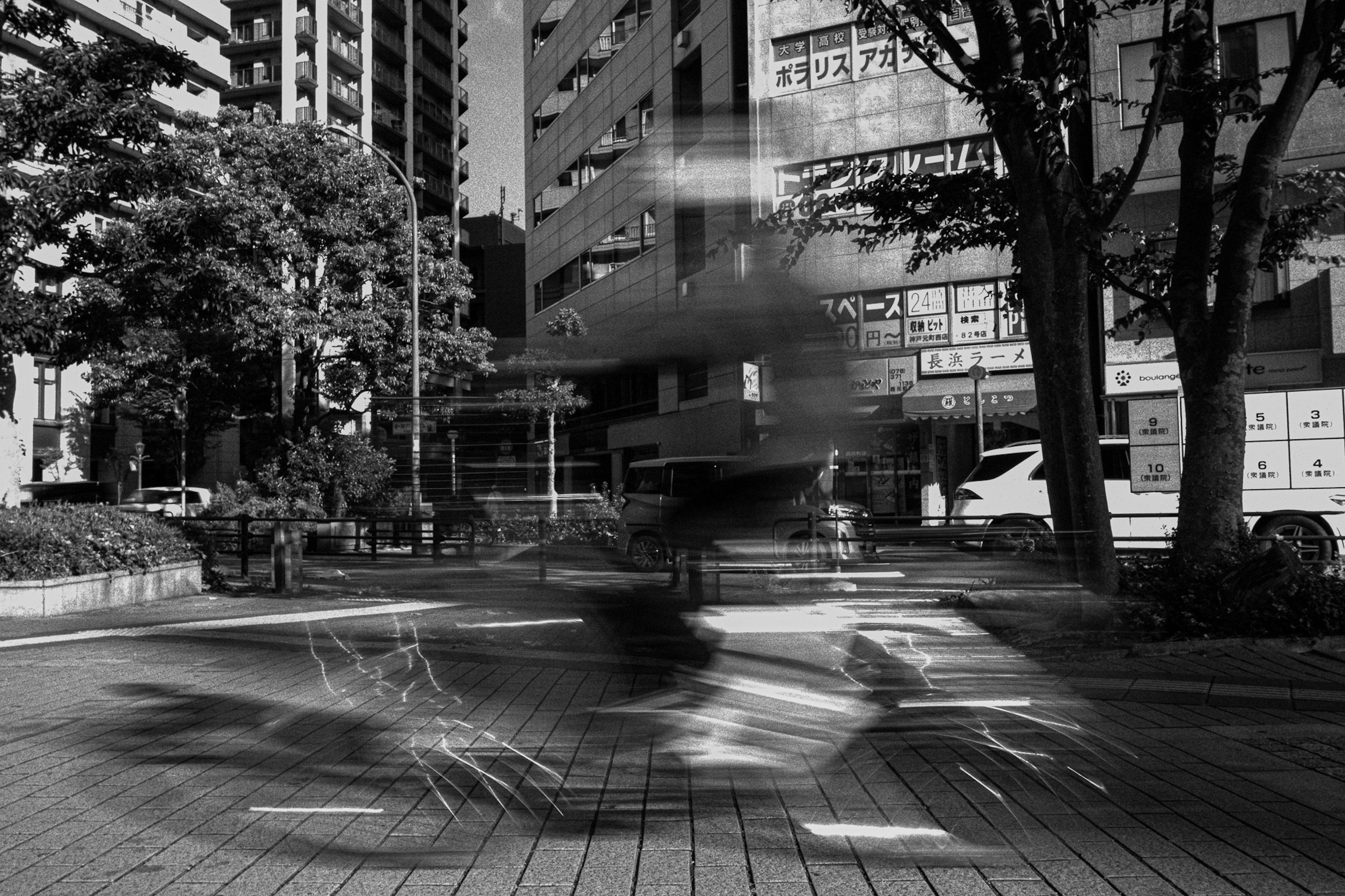 Paisaje urbano en blanco y negro con una bicicleta en movimiento