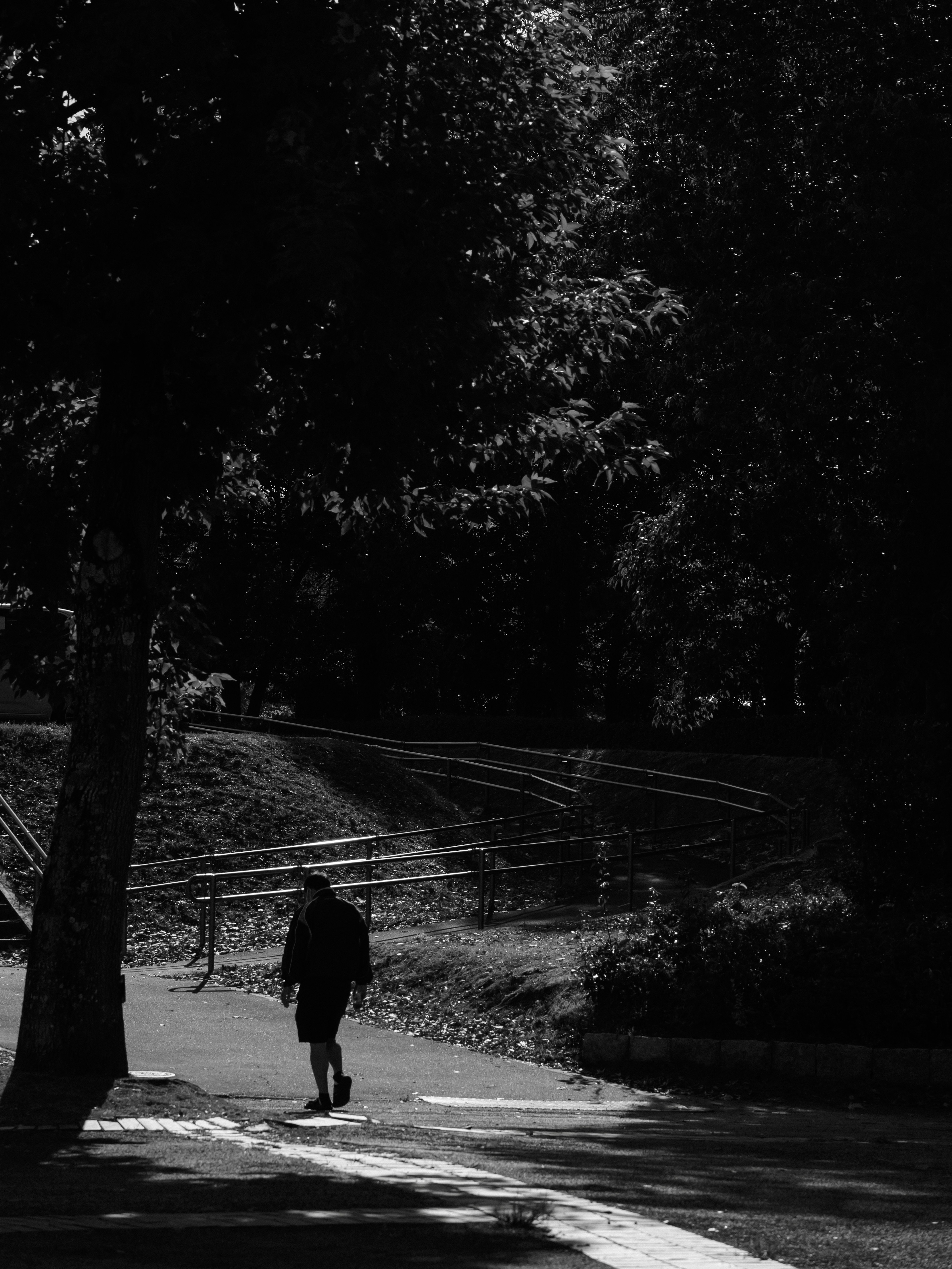 Silhouette of a person walking on a dark park path surrounded by trees