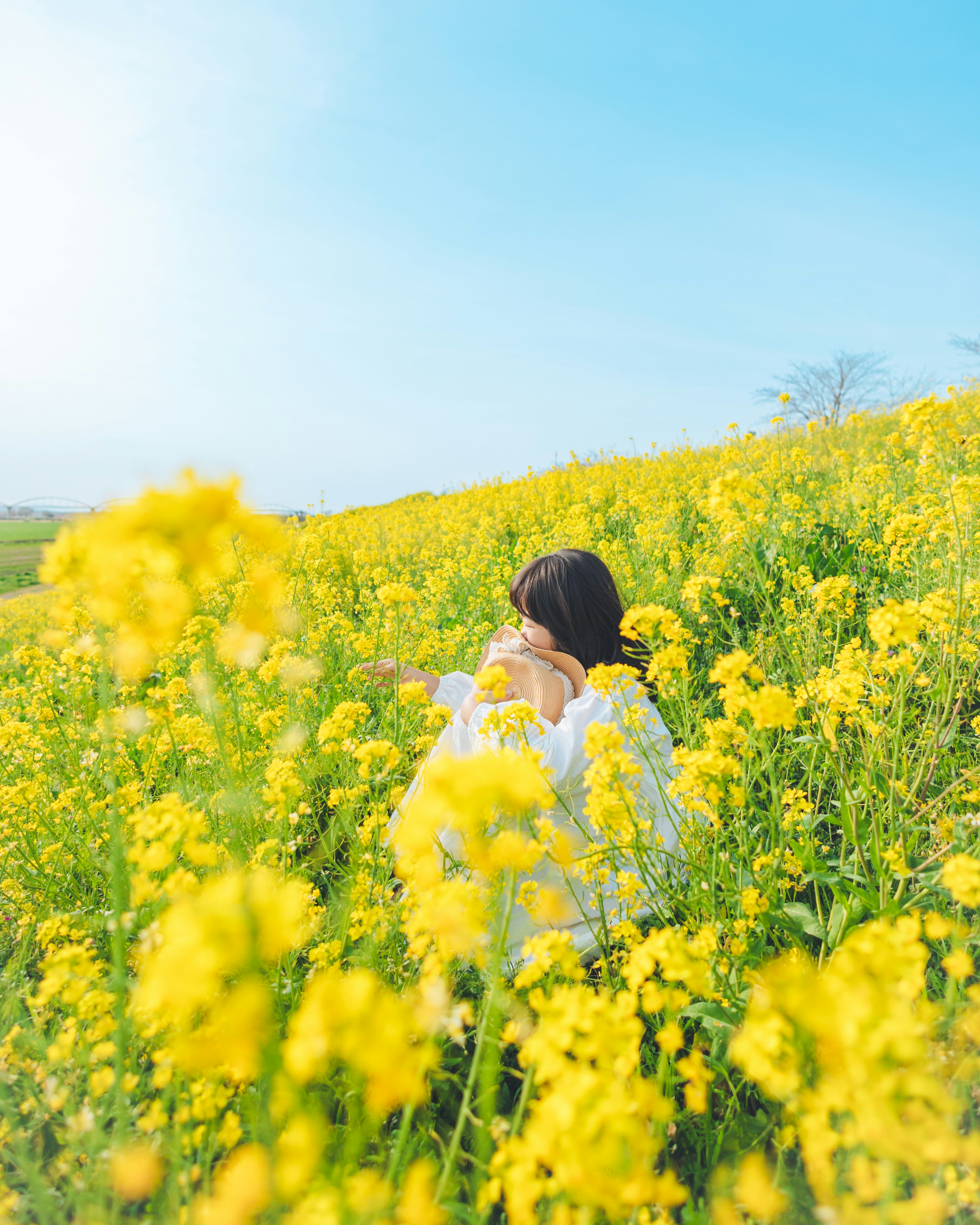 美しい黄色の花畑に座る女性の側面