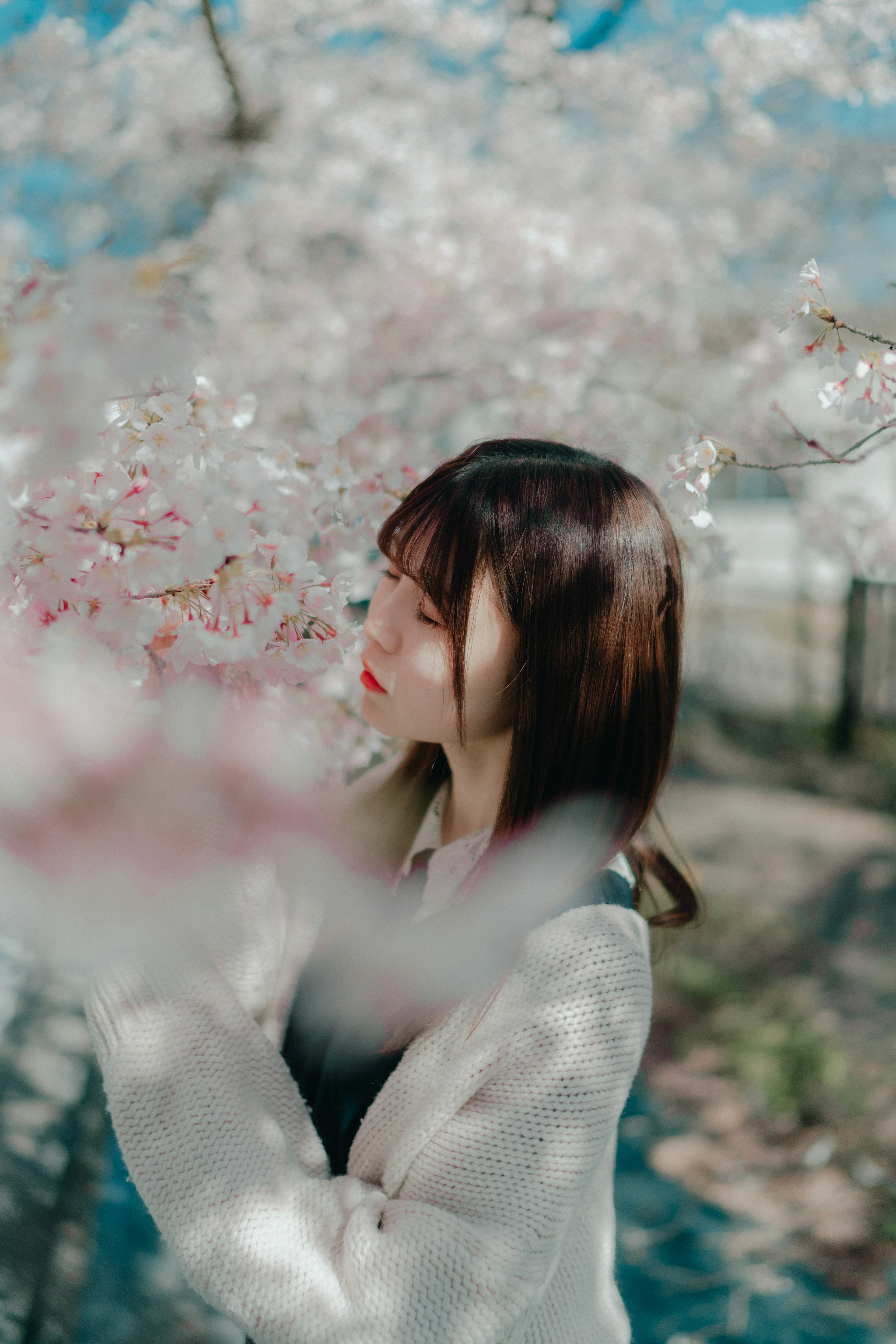 桜の花の中で佇む女性のポートレート