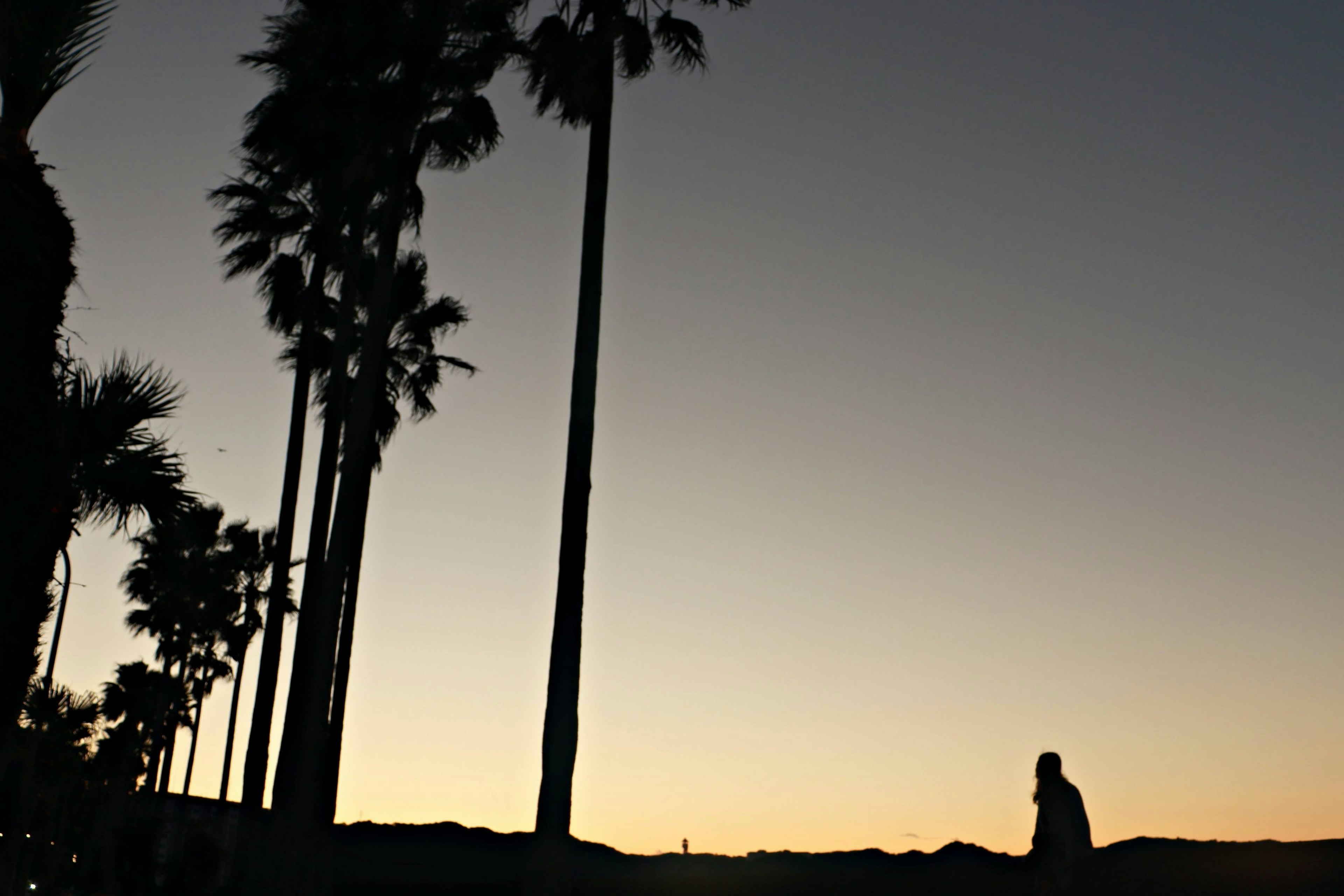 Silhouette d'une personne avec des palmiers au coucher du soleil