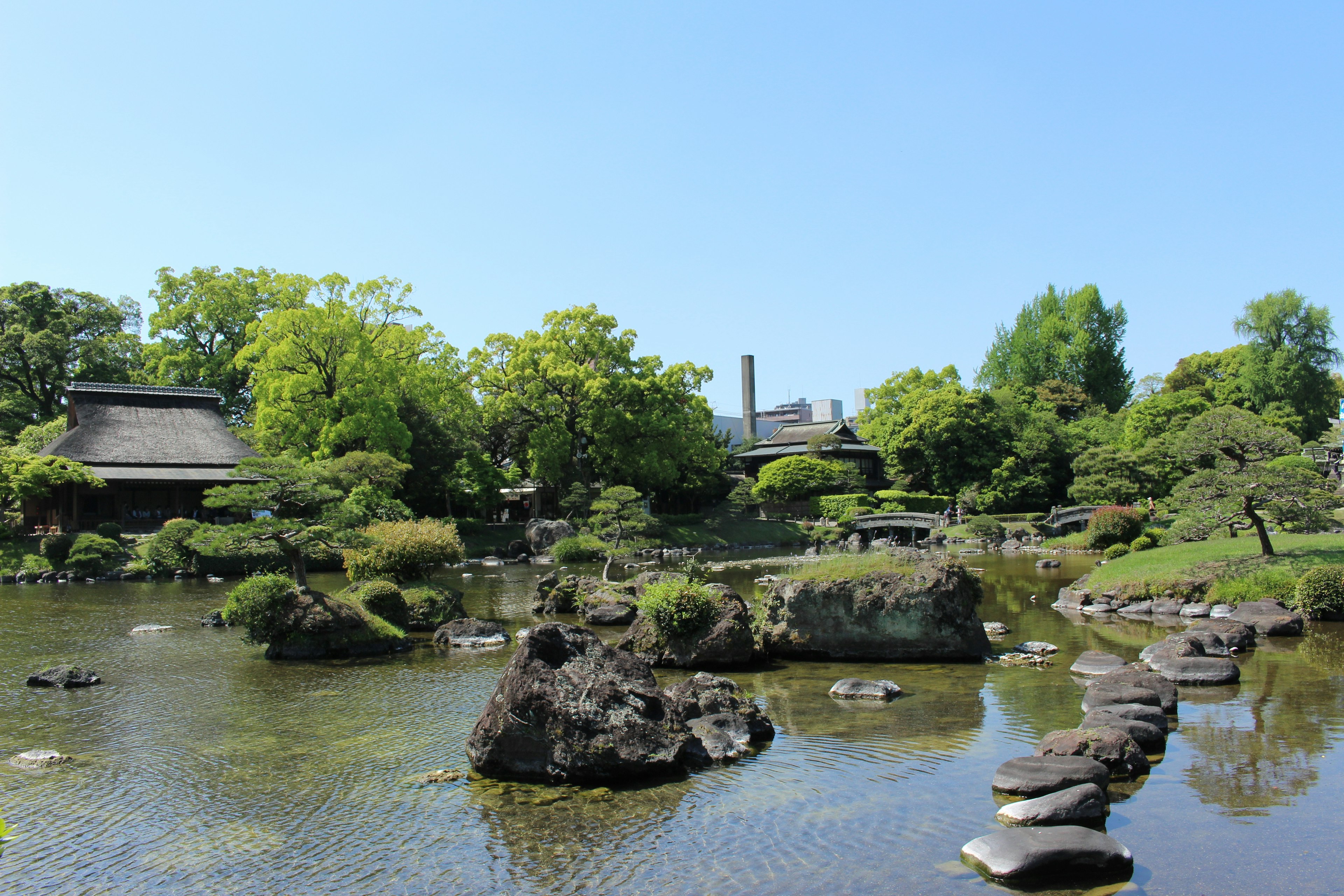 Pemandangan taman Jepang yang tenang dengan pohon hijau yang memantul di air dan jalan batu